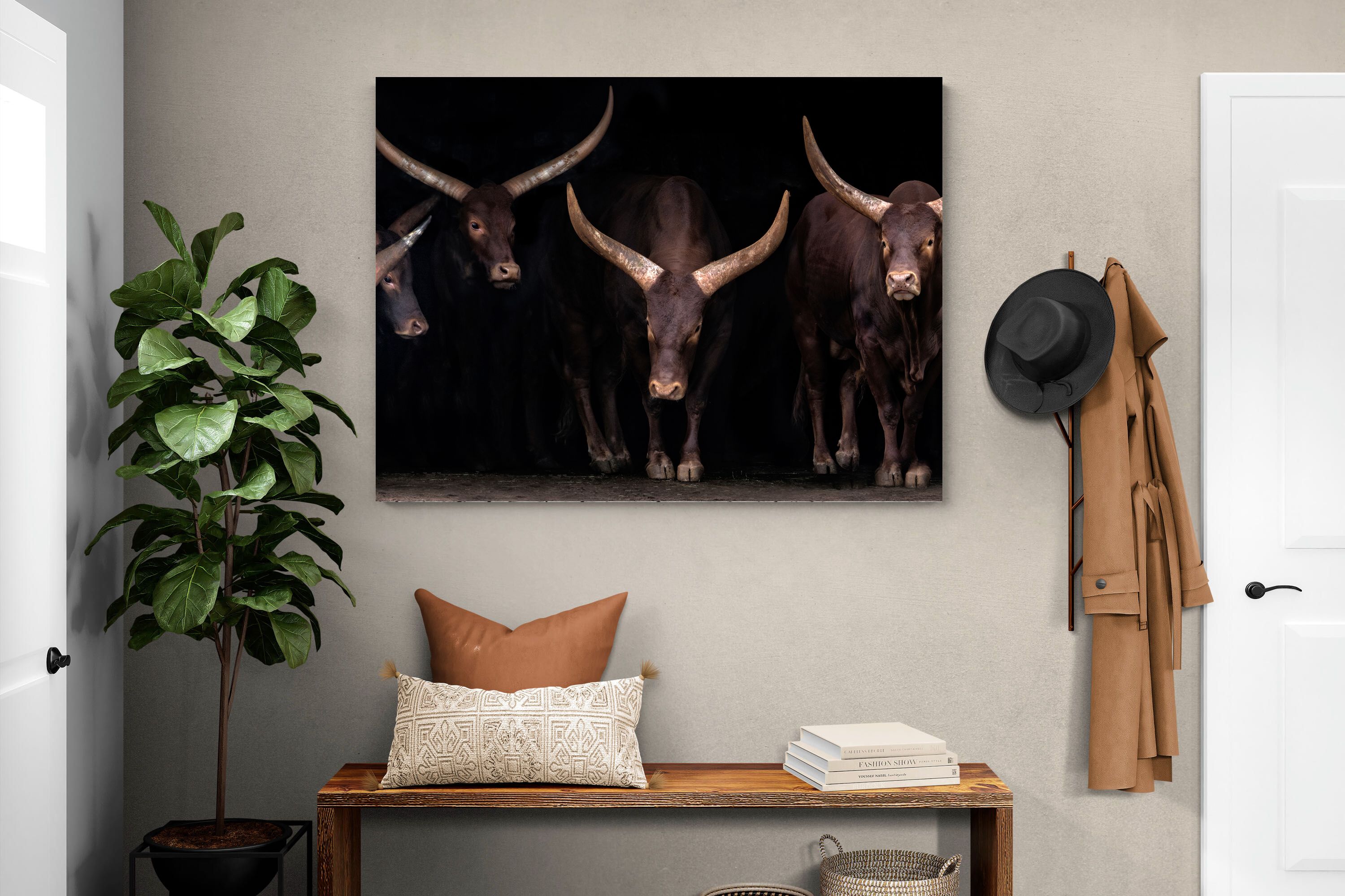 Pixalot Ankole-Watusi Herd