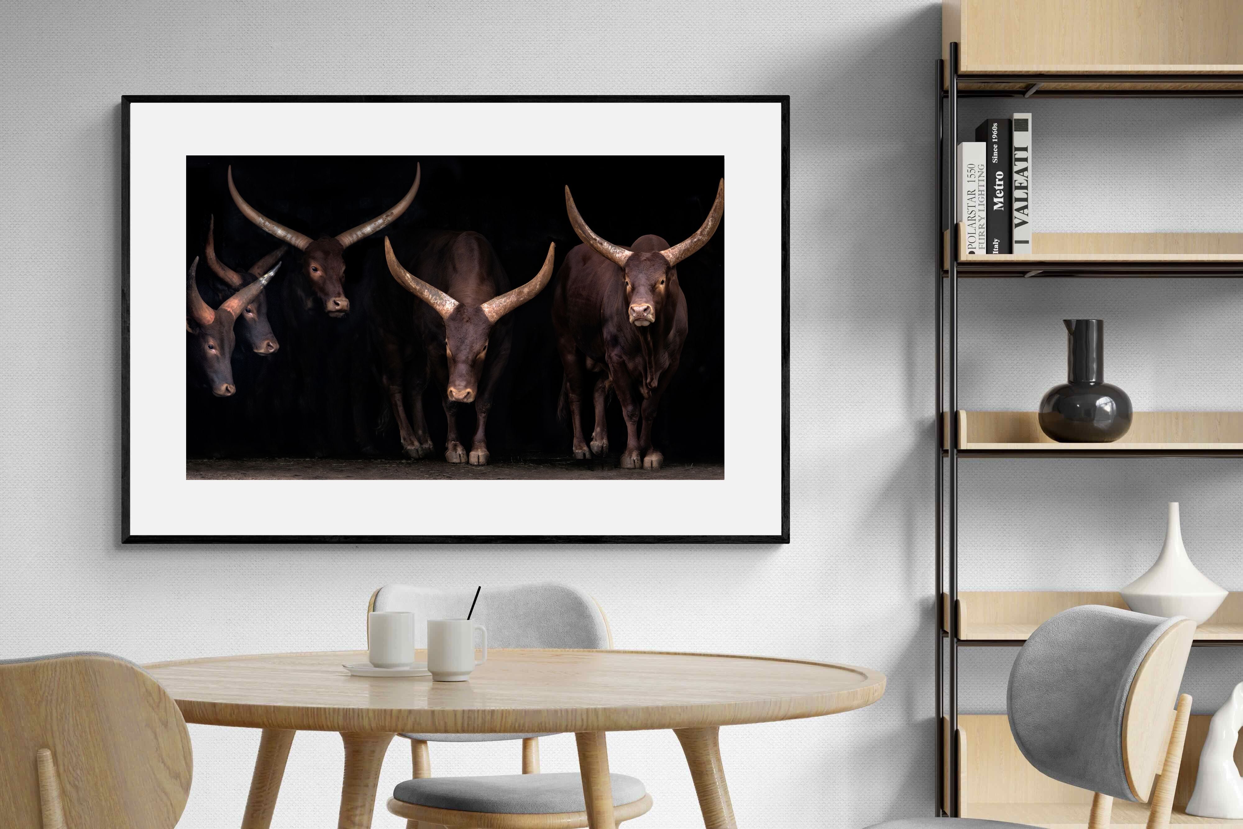 Pixalot Ankole-Watusi Herd