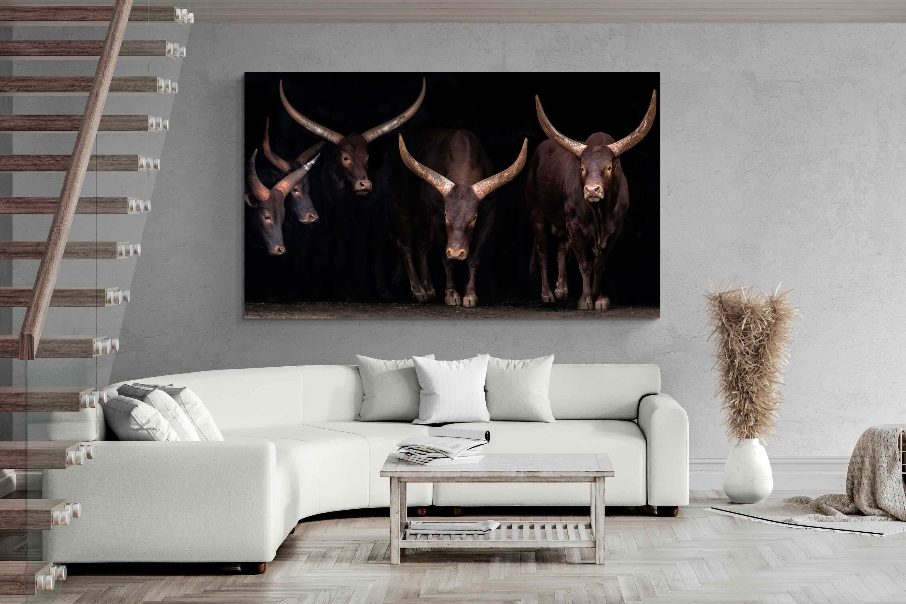 Pixalot Ankole-Watusi Herd