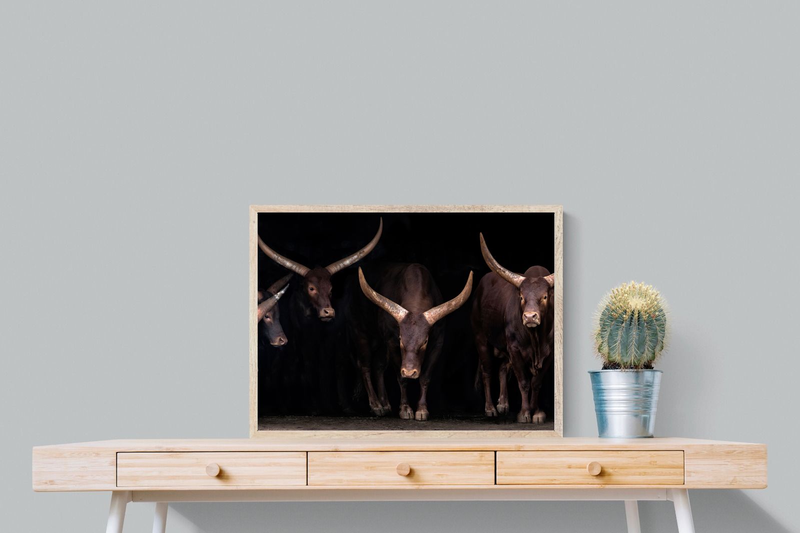 Pixalot Ankole-Watusi Herd