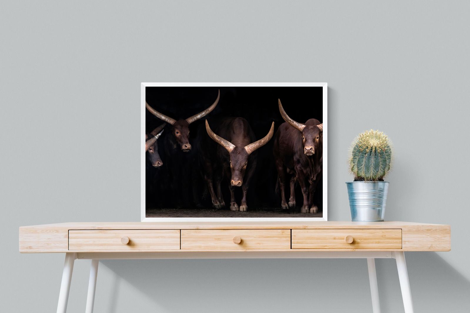 Pixalot Ankole-Watusi Herd