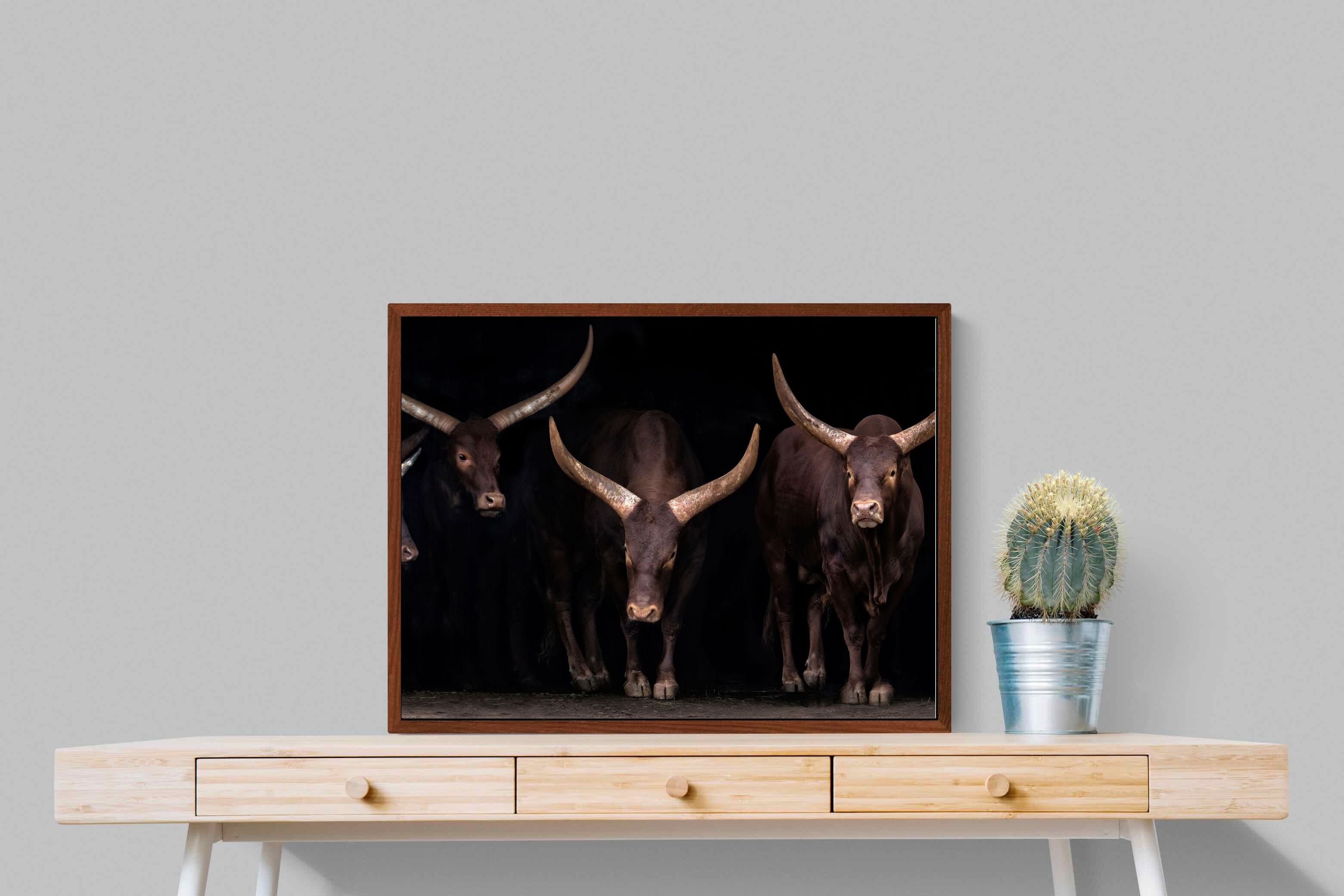 Pixalot ® Ankole-Watusi Herd