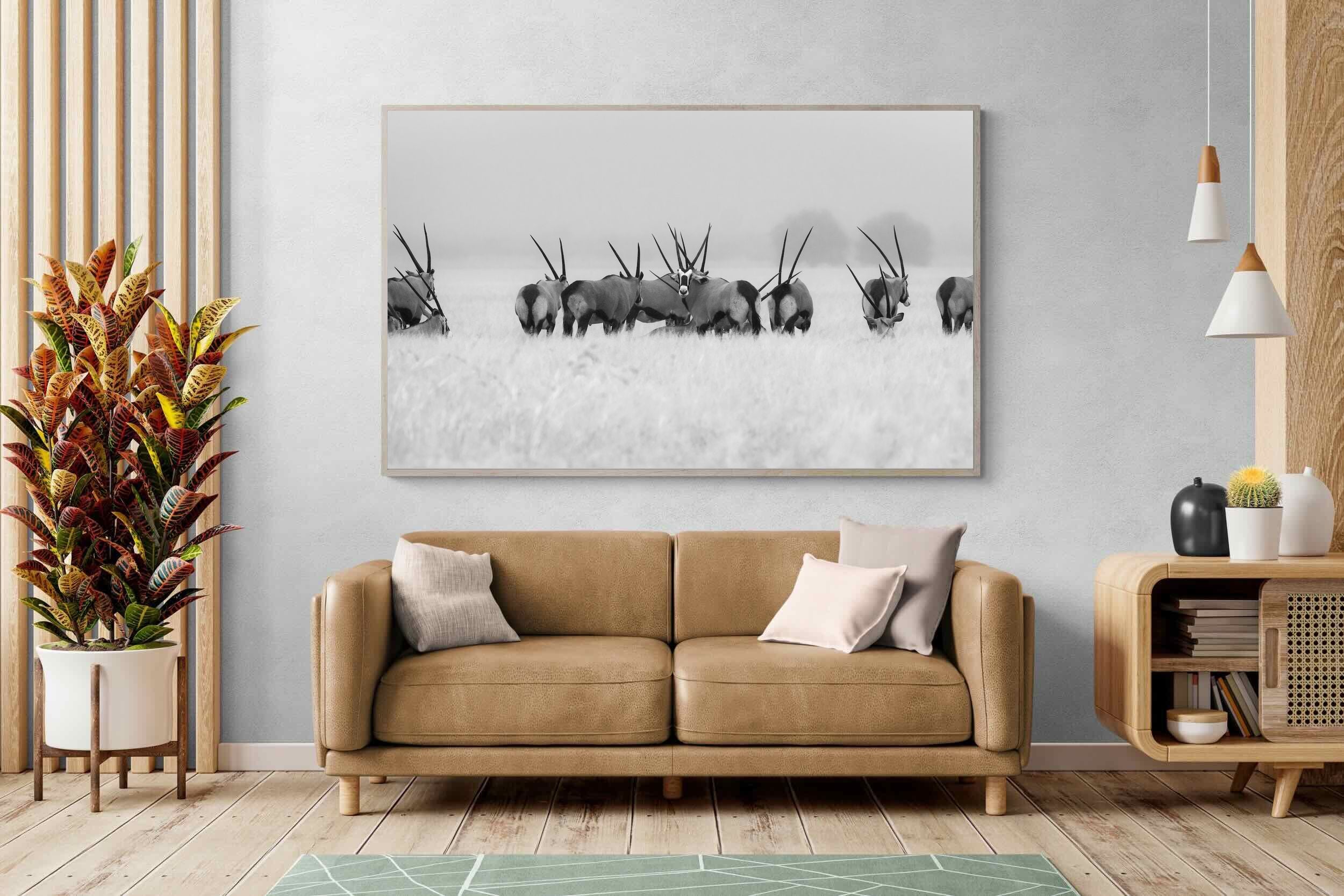 Pixalot Antelope Herd