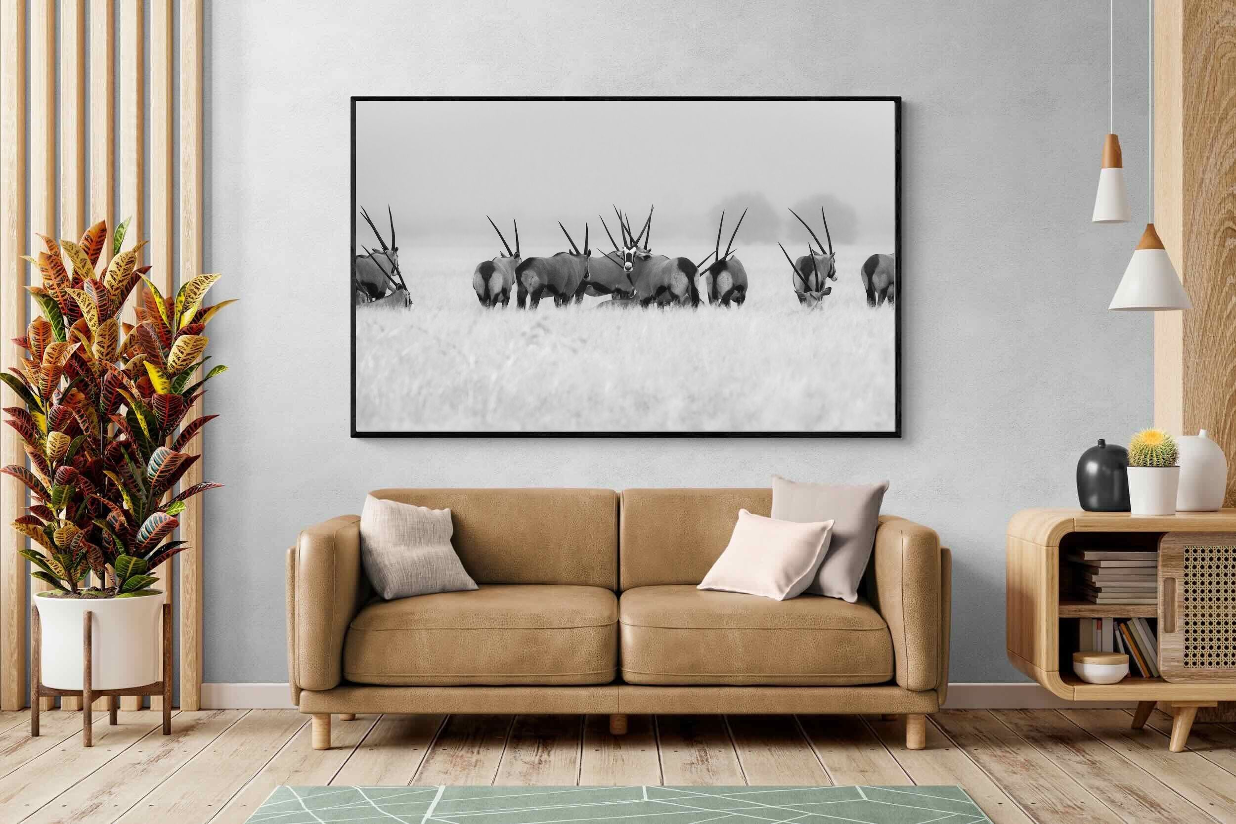 Pixalot Antelope Herd