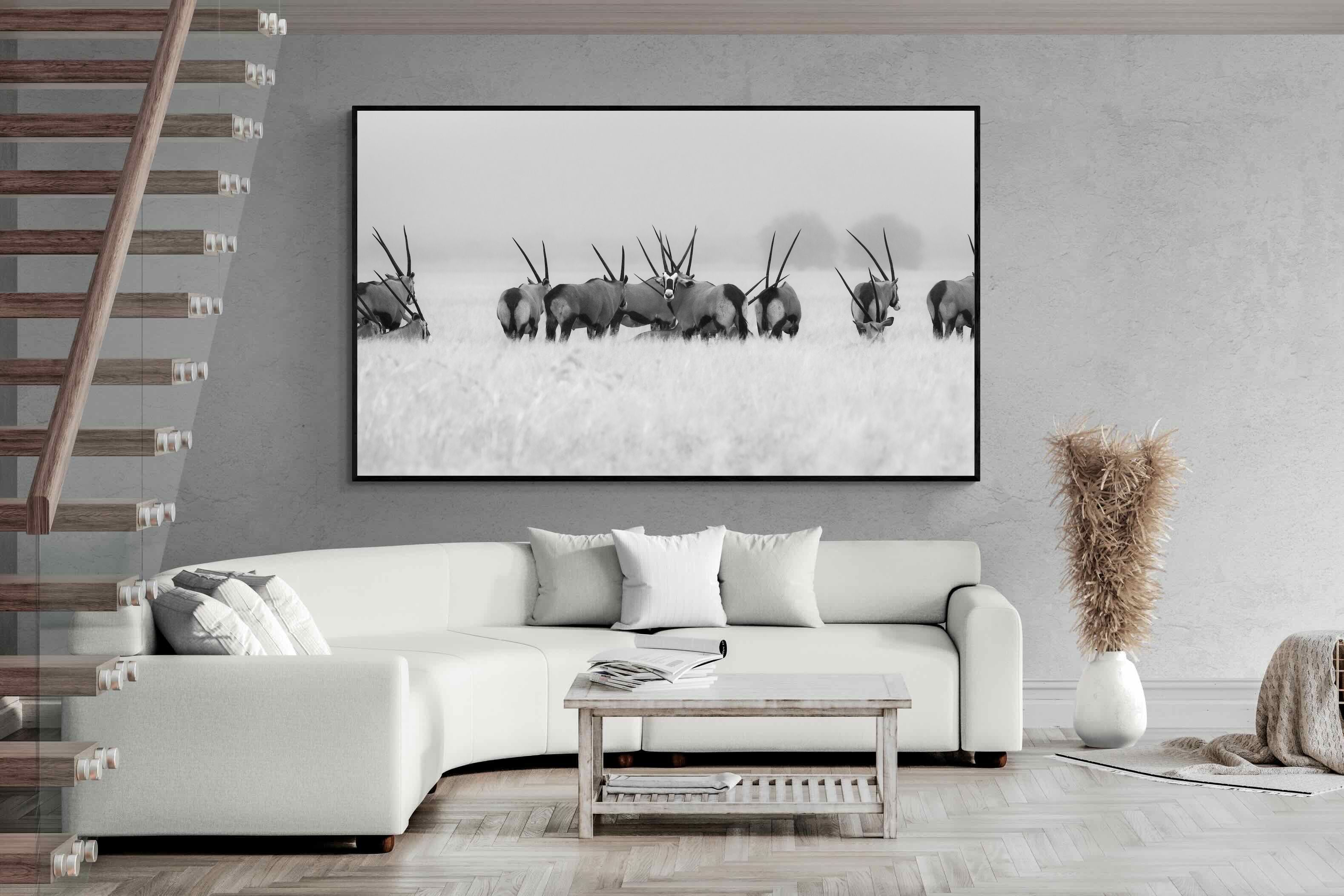 Pixalot Antelope Herd