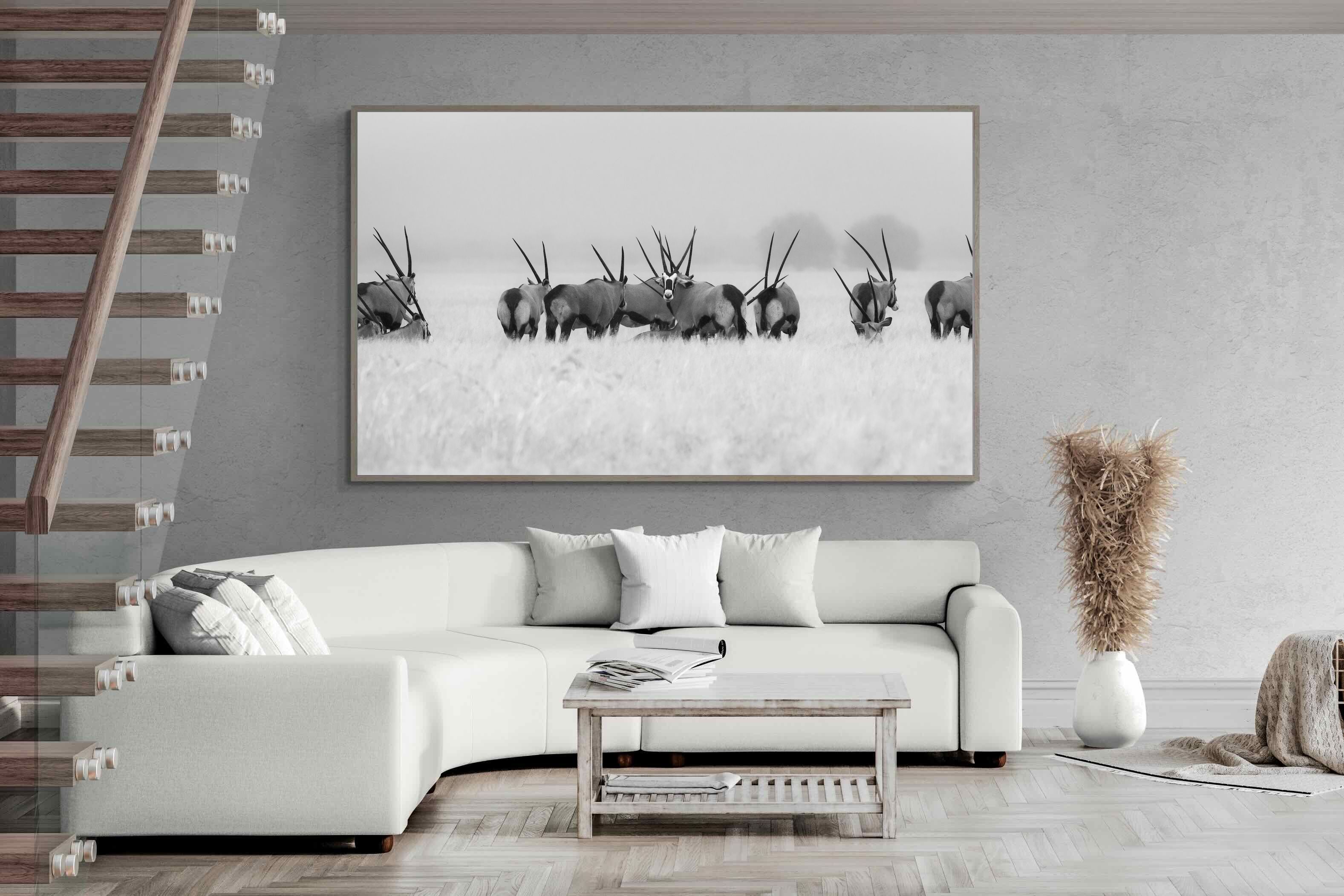 Pixalot Antelope Herd