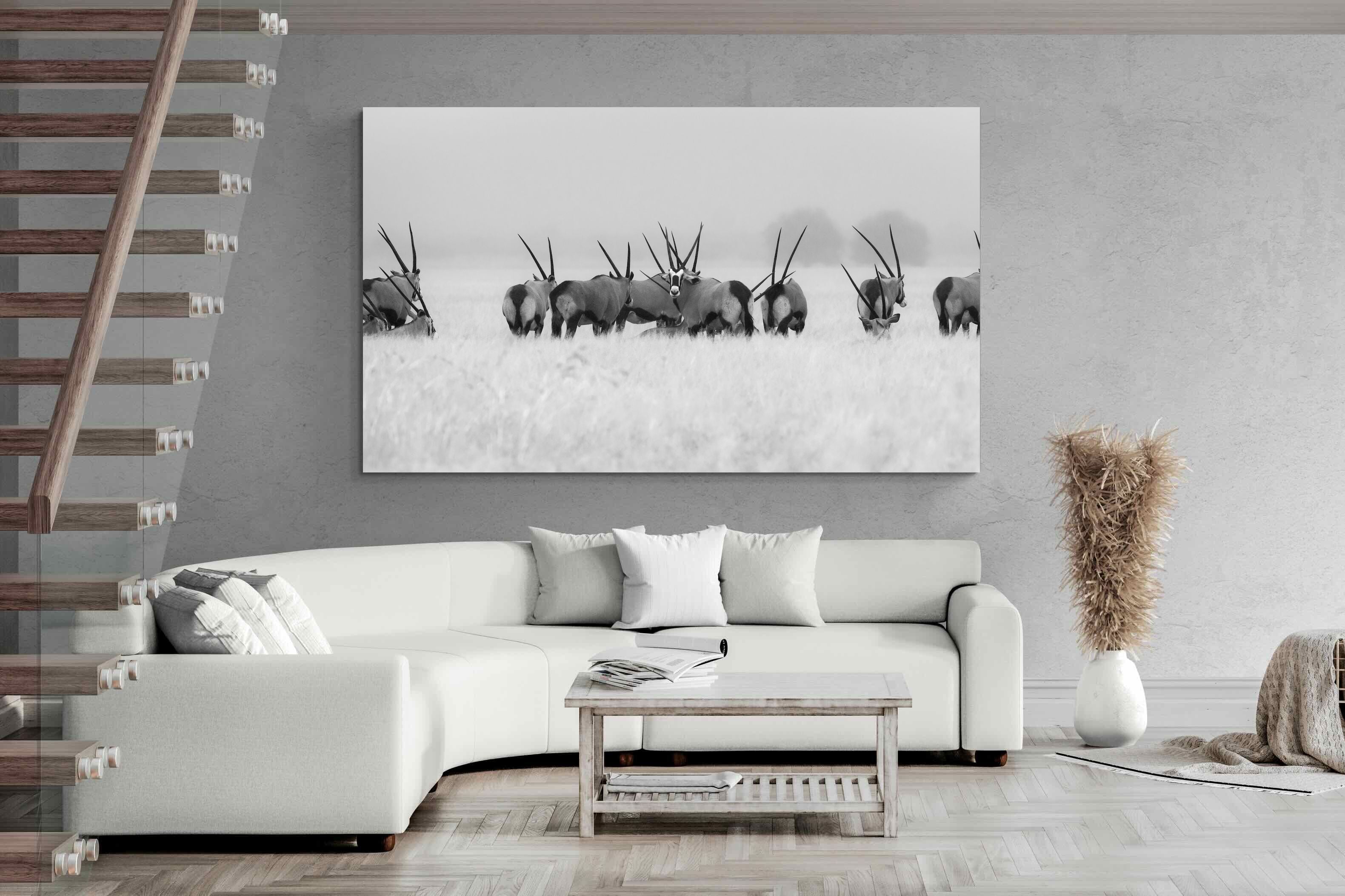 Pixalot Antelope Herd