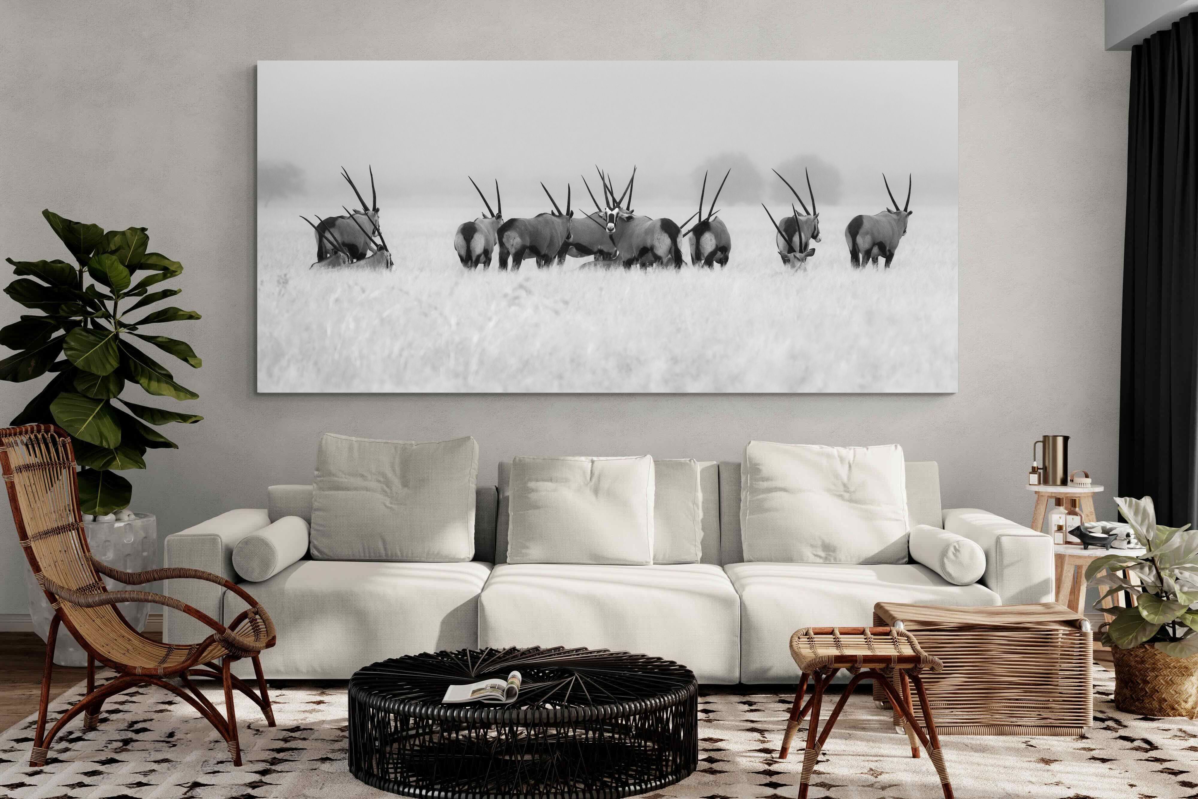 Pixalot Antelope Herd