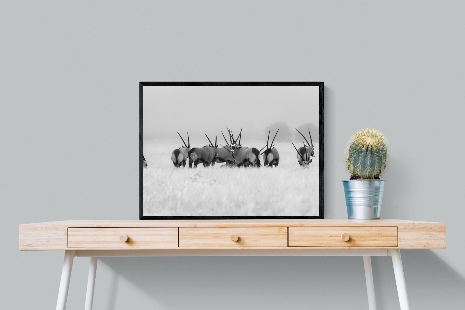 Pixalot Antelope Herd