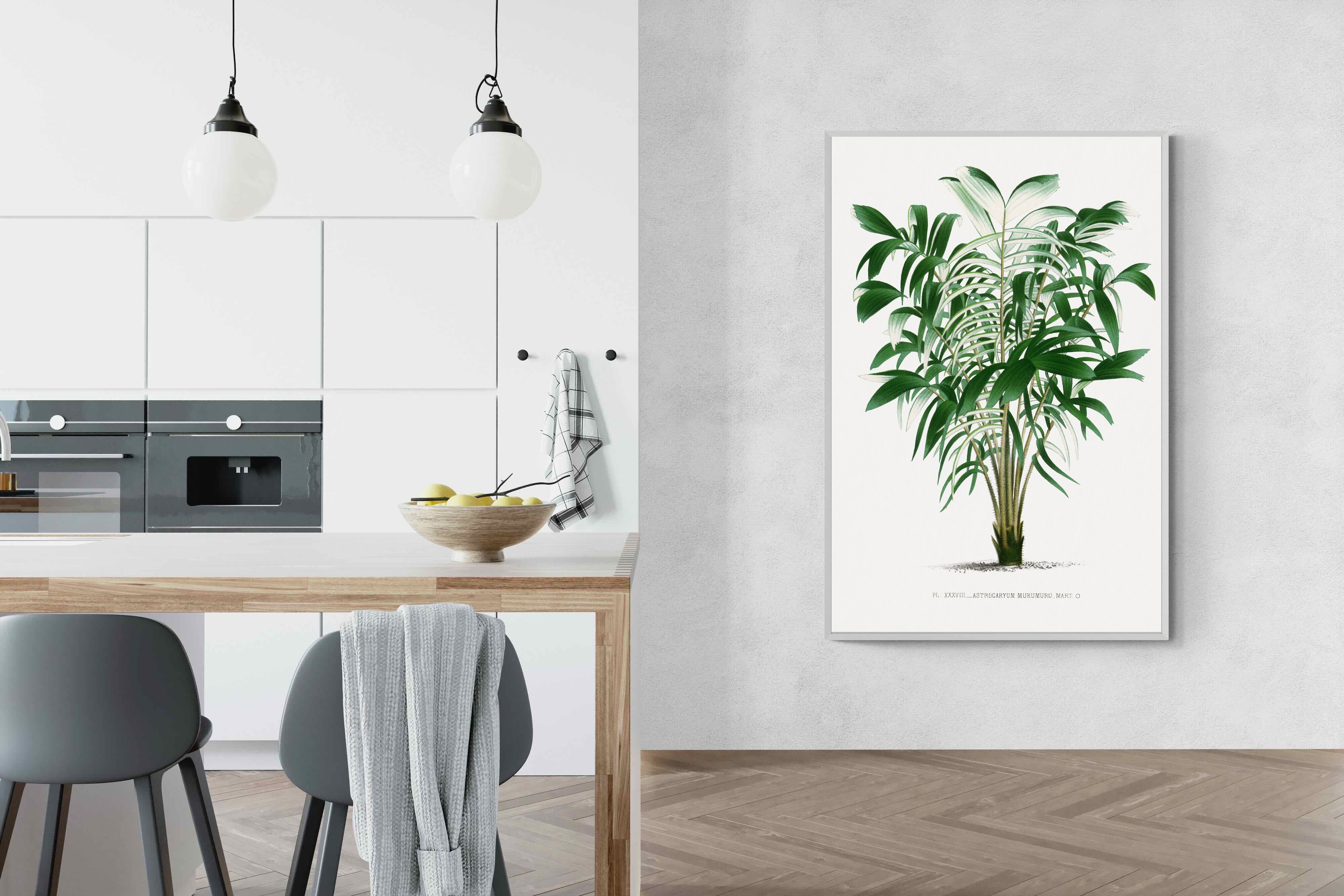 Pixalot Astrocaryum Murumuru Palm Tree Illustration