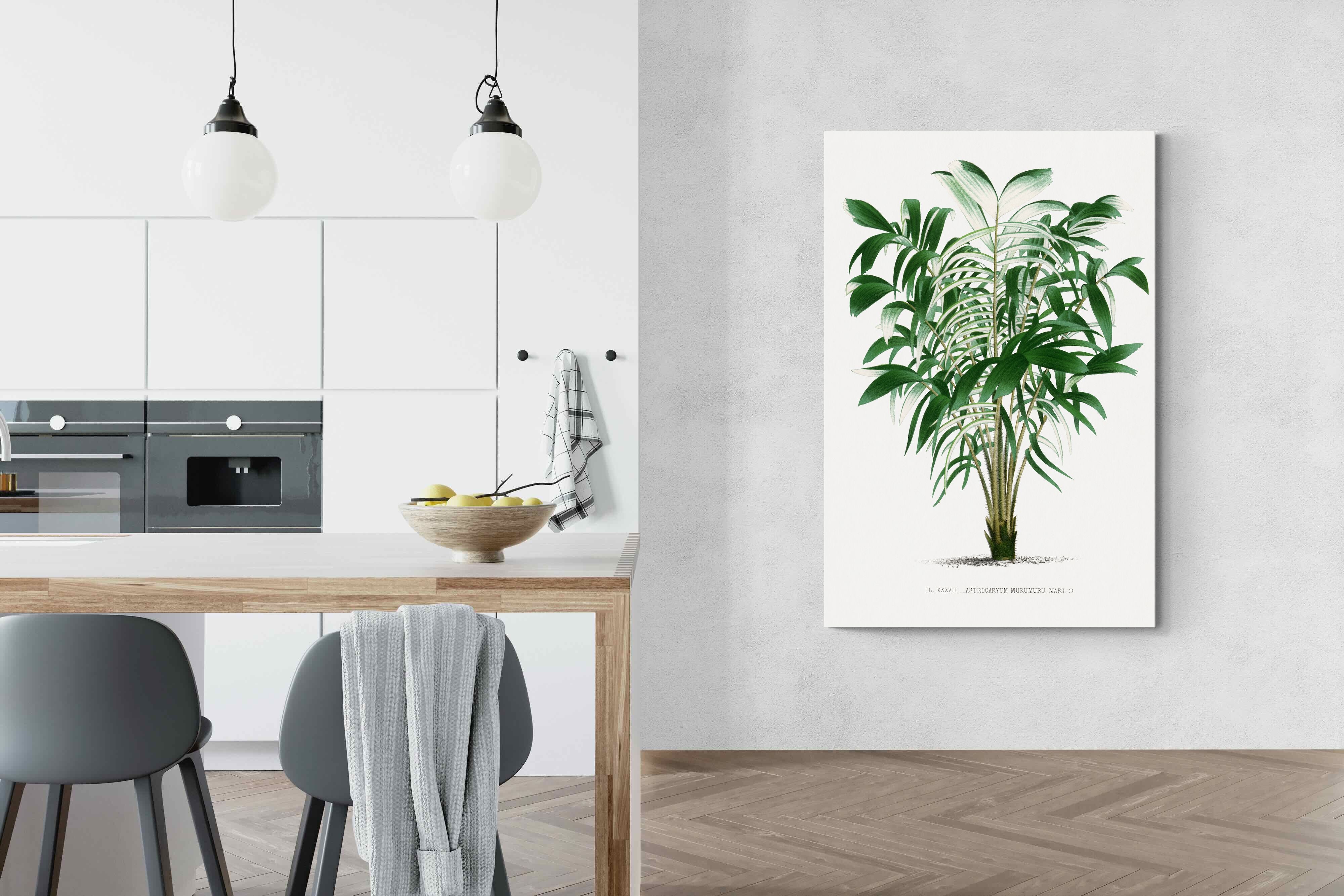 Pixalot Astrocaryum Murumuru Palm Tree Illustration