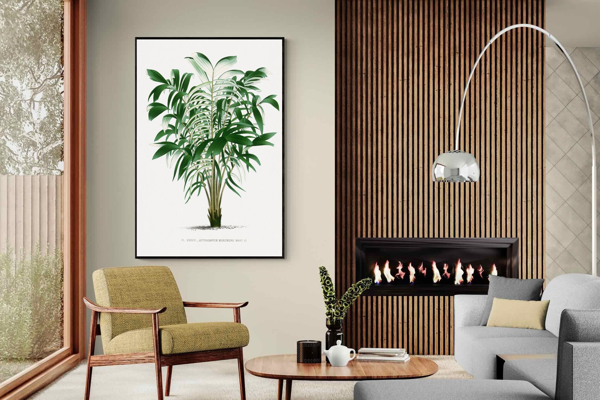 Pixalot Astrocaryum Murumuru Palm Tree Illustration