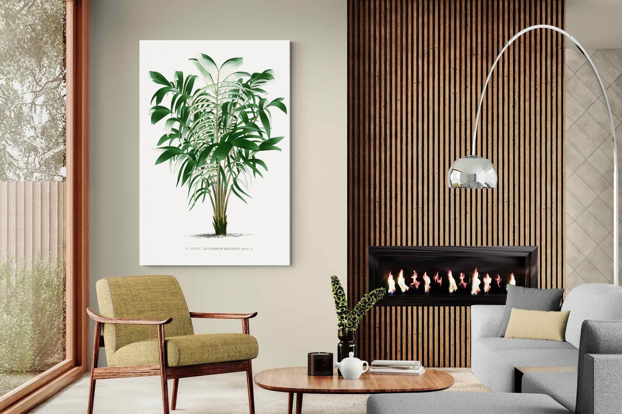 Pixalot Astrocaryum Murumuru Palm Tree Illustration