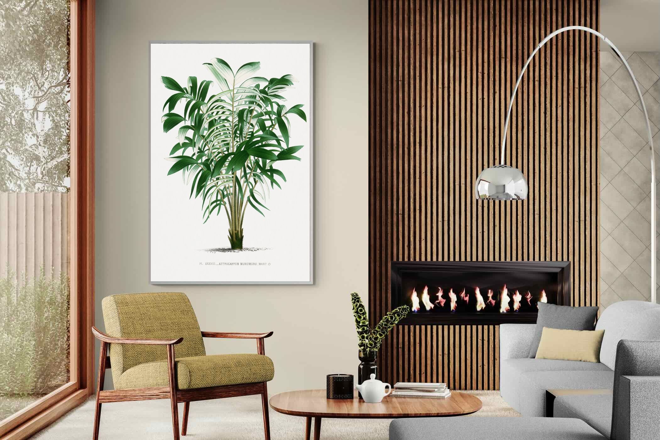 Pixalot Astrocaryum Murumuru Palm Tree Illustration