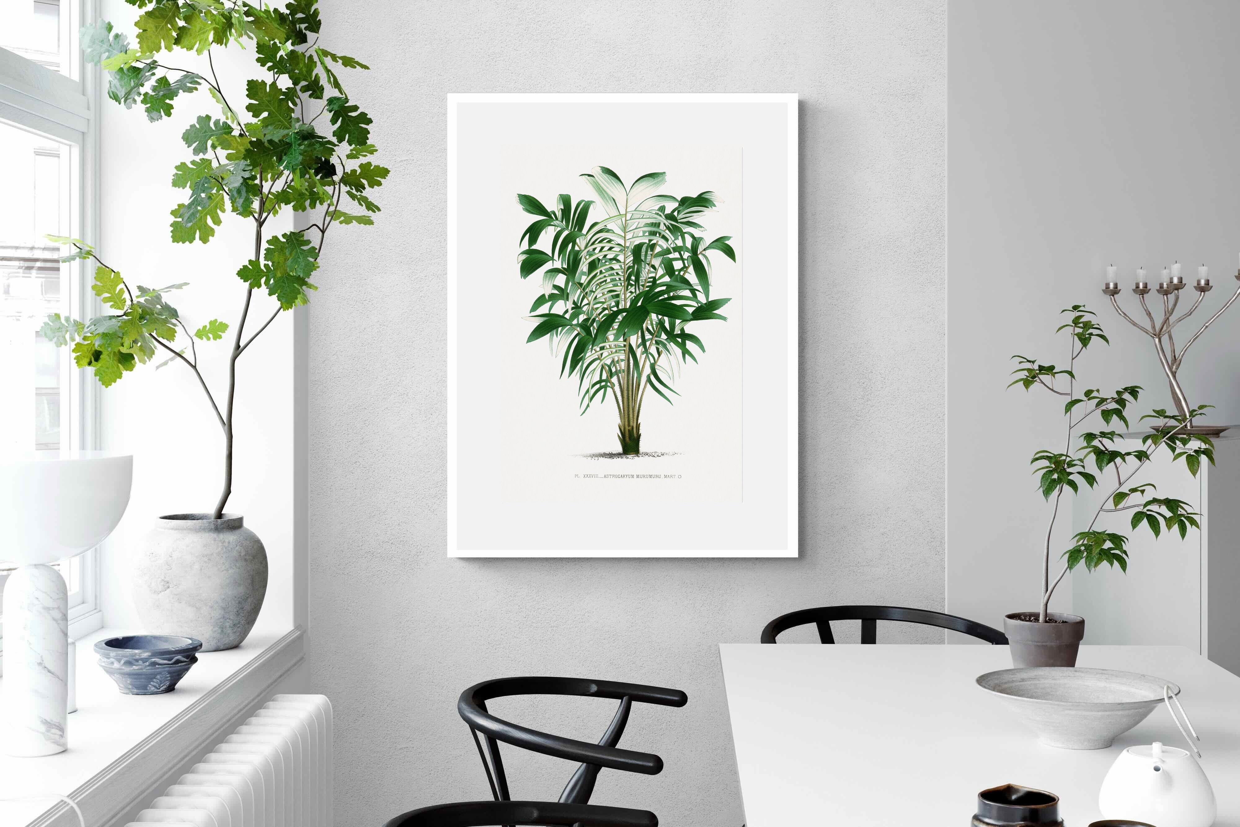 Pixalot Astrocaryum Murumuru Palm Tree Illustration