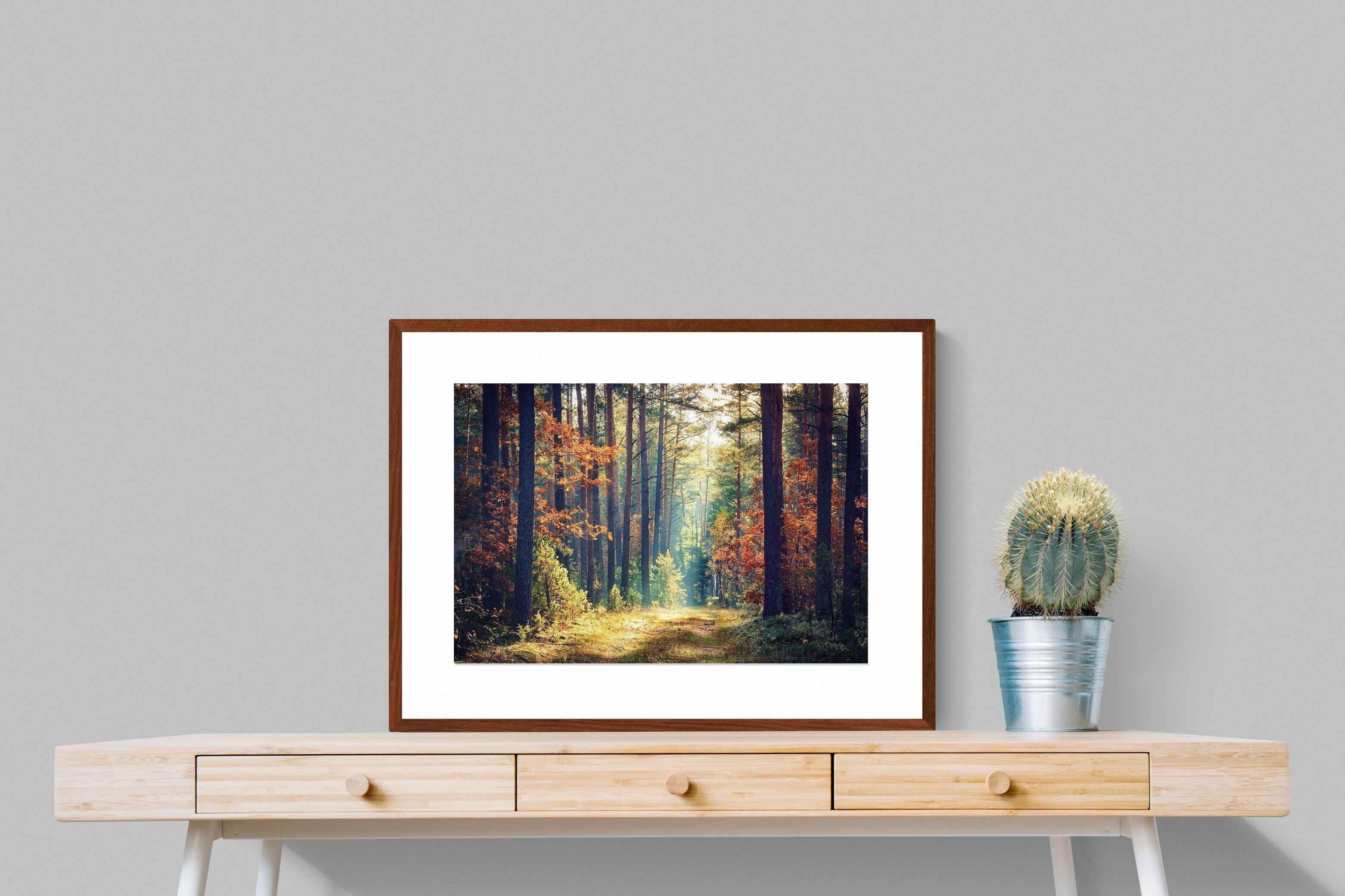 Pixalot ® Autumn Forest