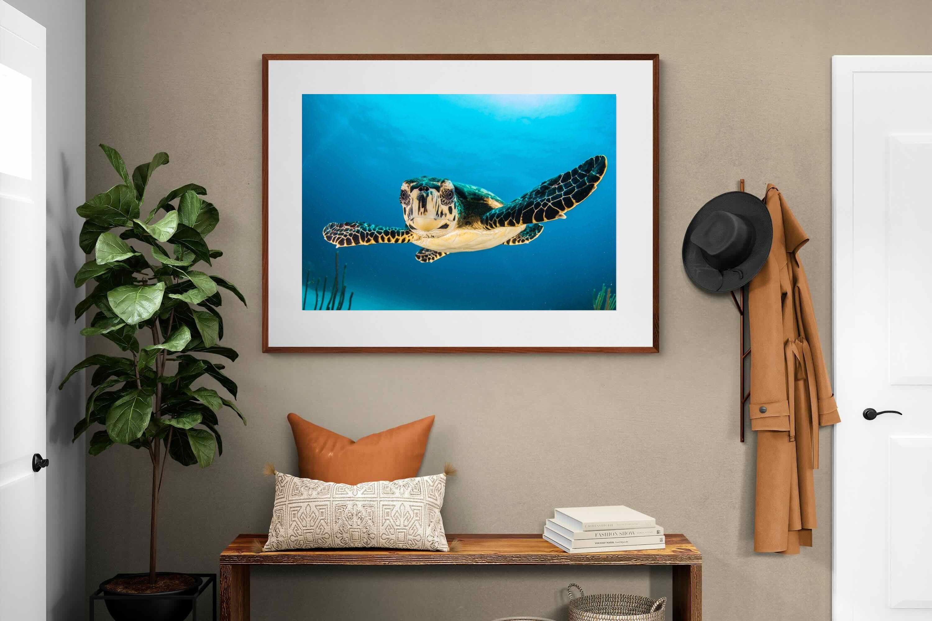 Pixalot ® Baby Turtle