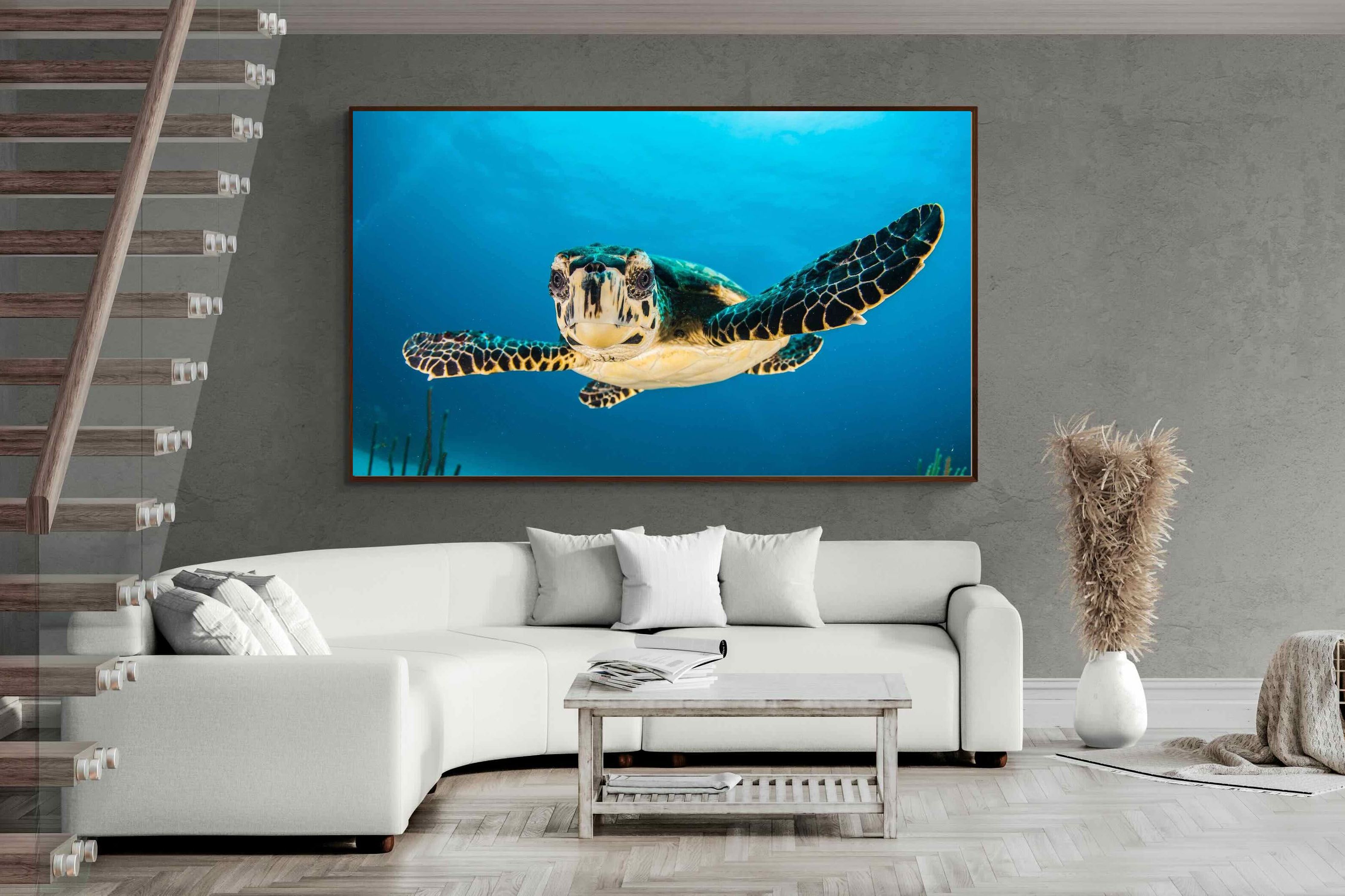 Pixalot ® Baby Turtle