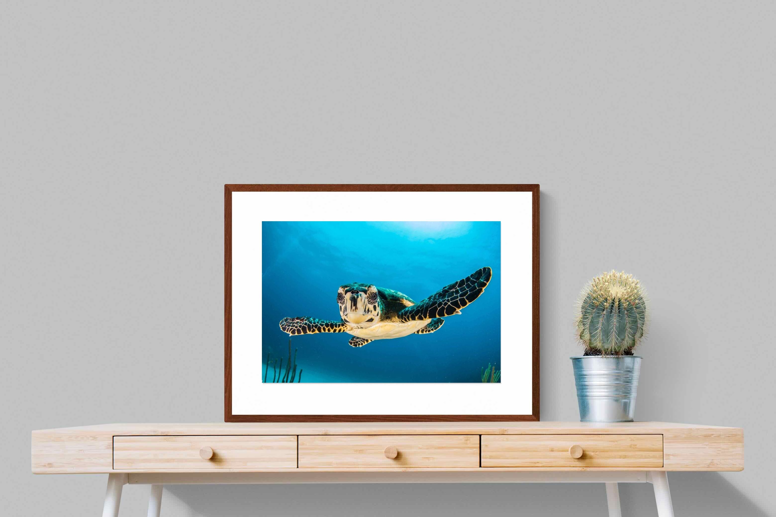 Pixalot ® Baby Turtle