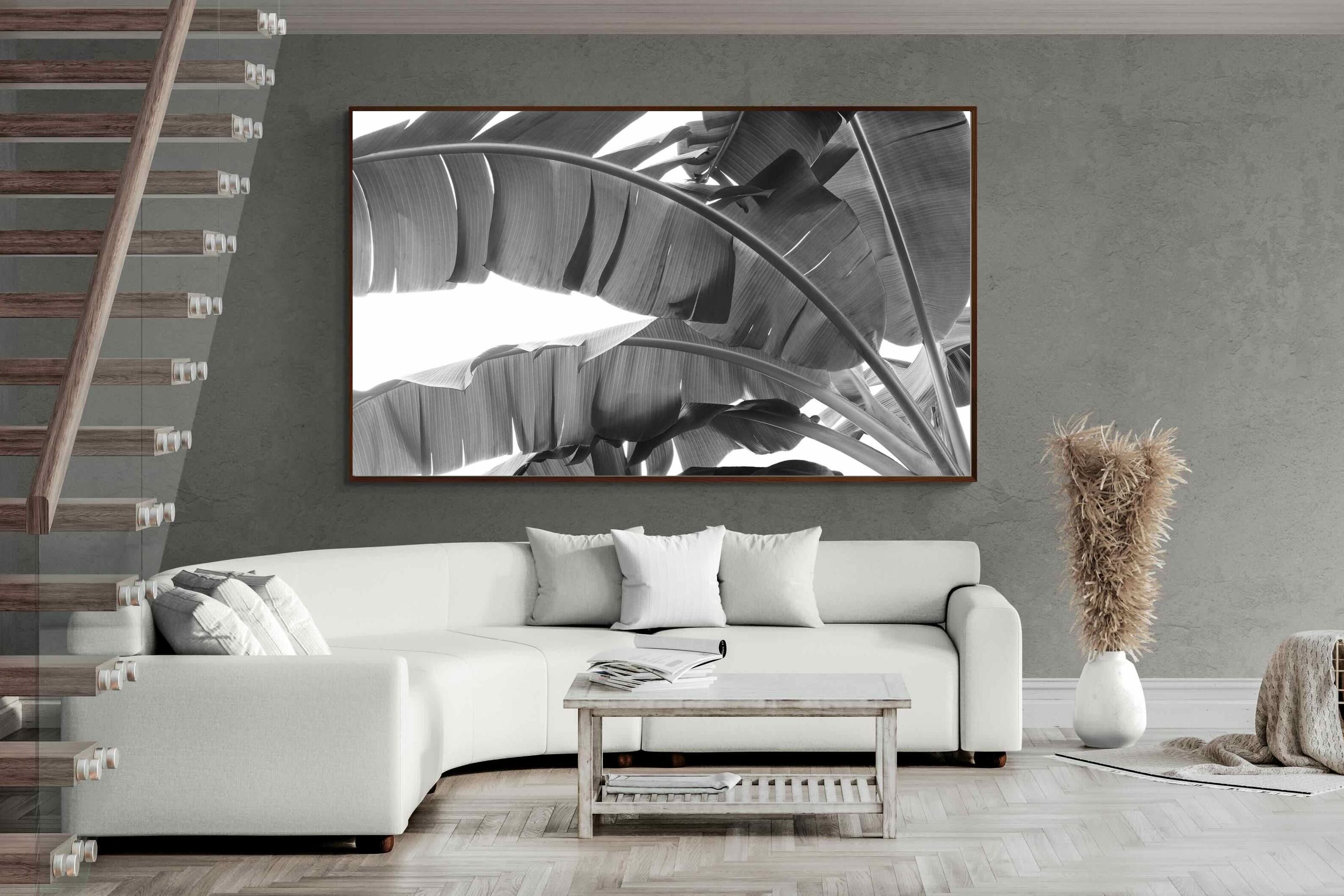 Pixalot ® Banana Frond