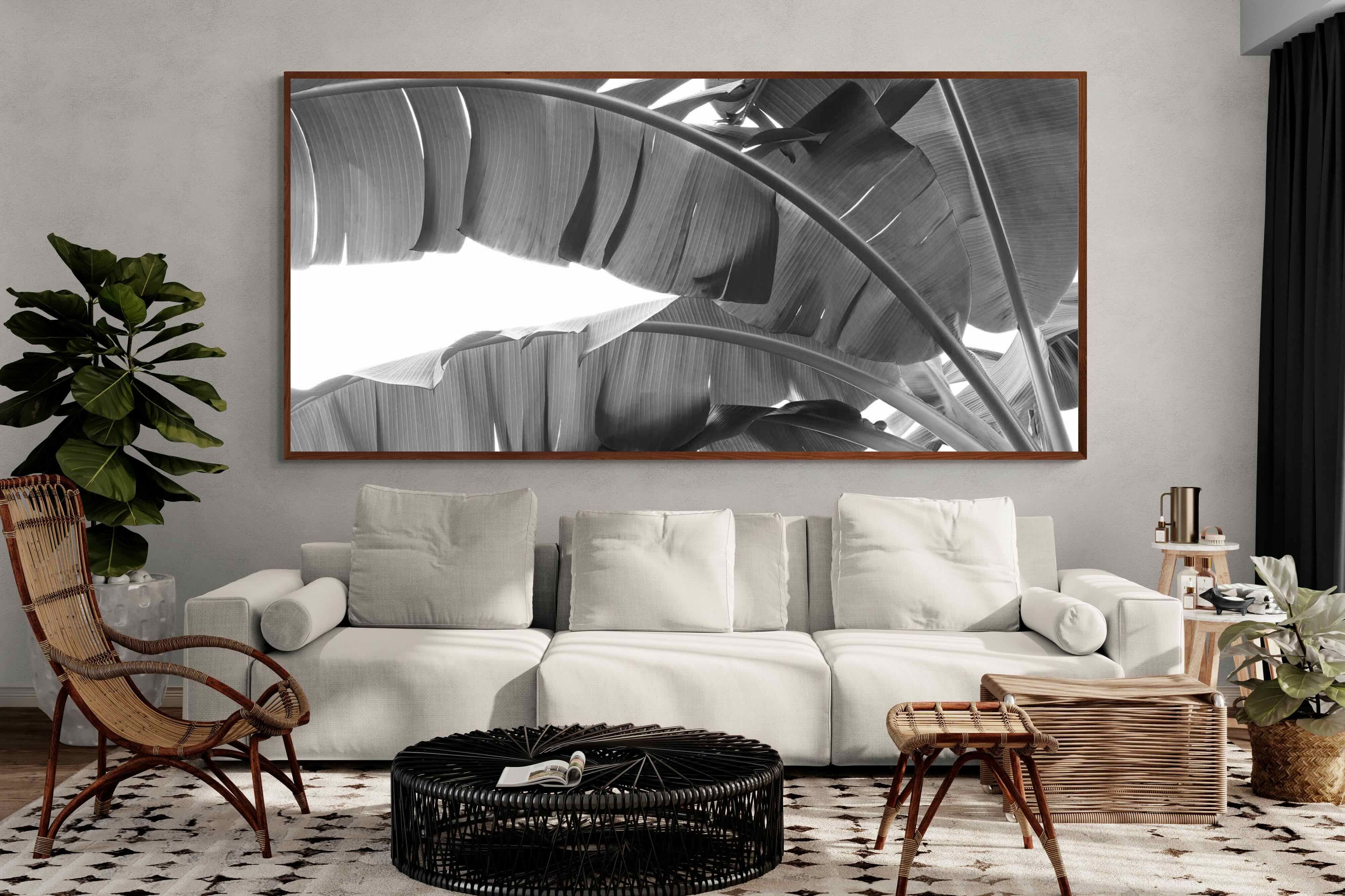 Pixalot ® Banana Frond