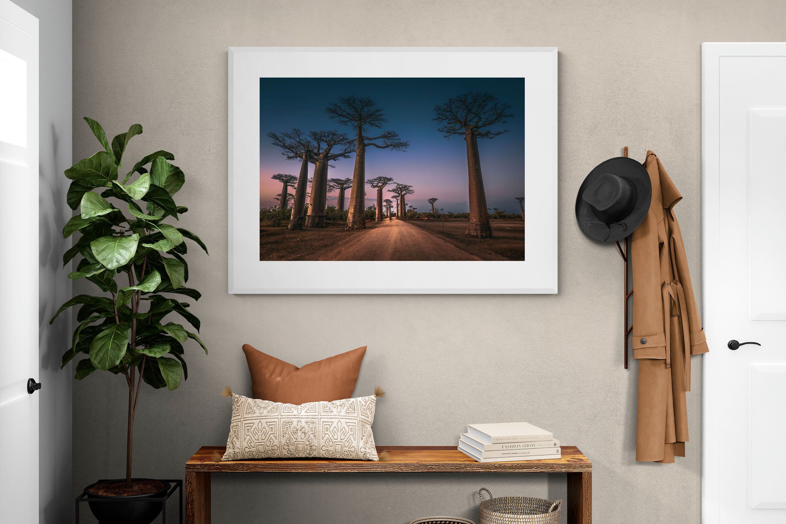 Pixalot Baobab Avenue
