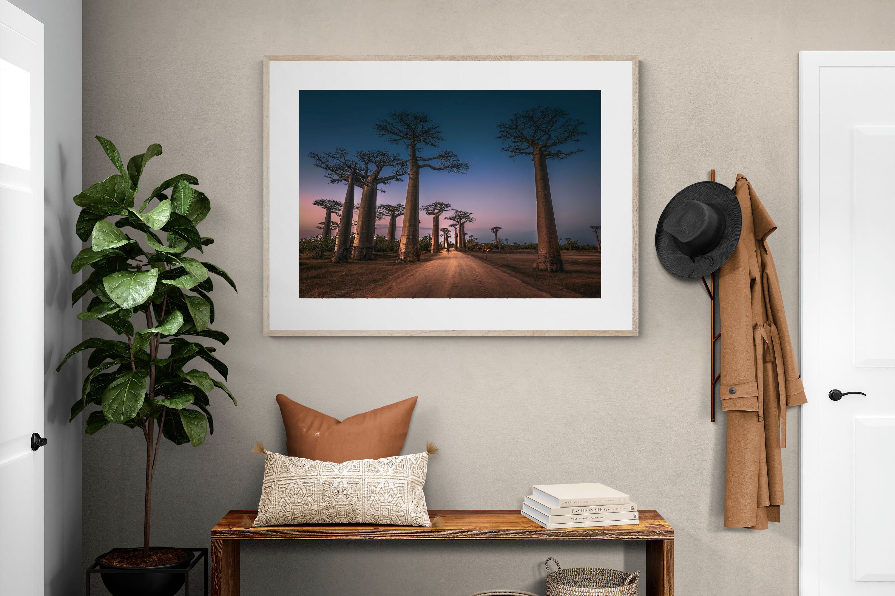 Pixalot Baobab Avenue