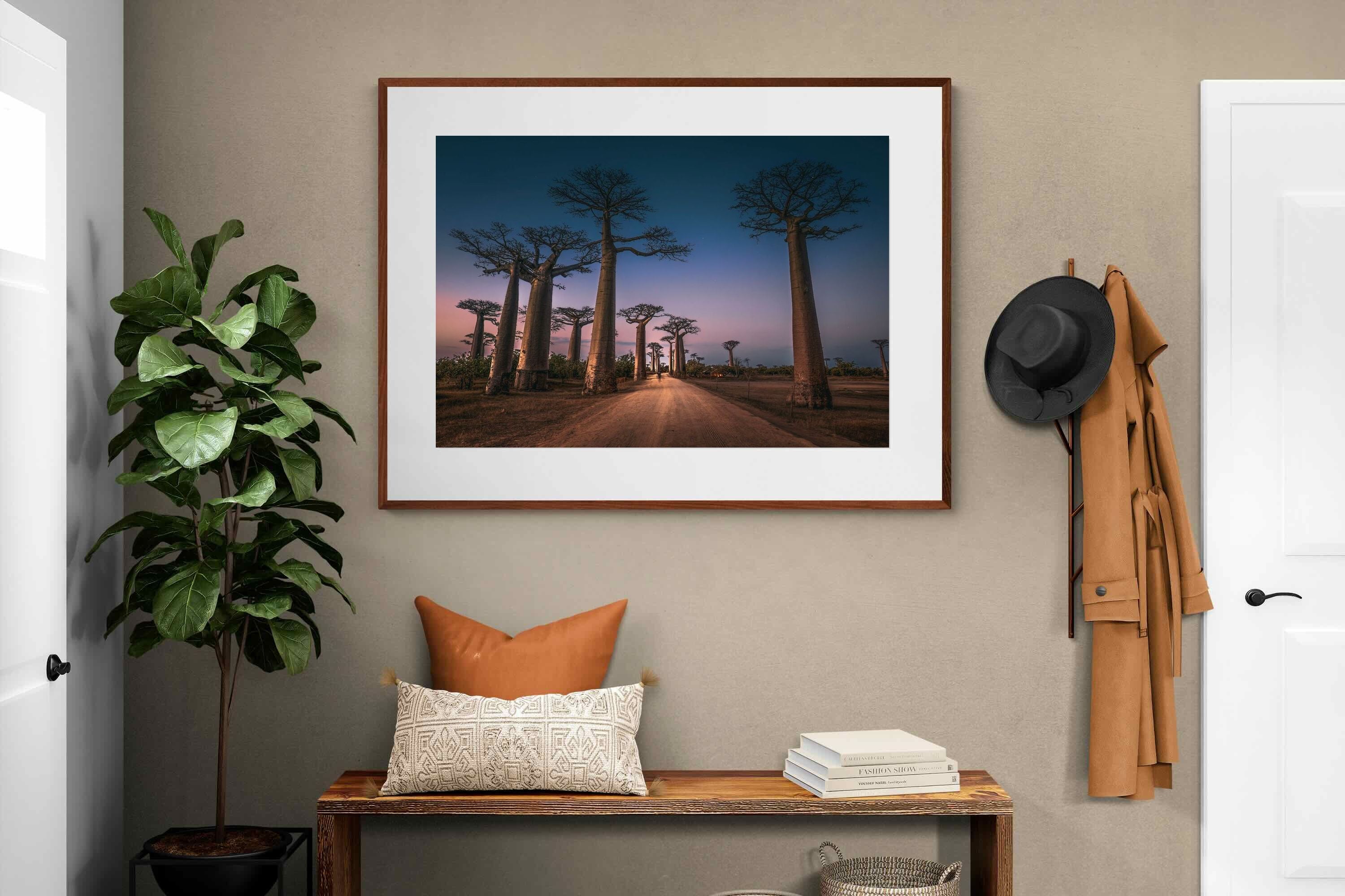 Pixalot Baobab Avenue