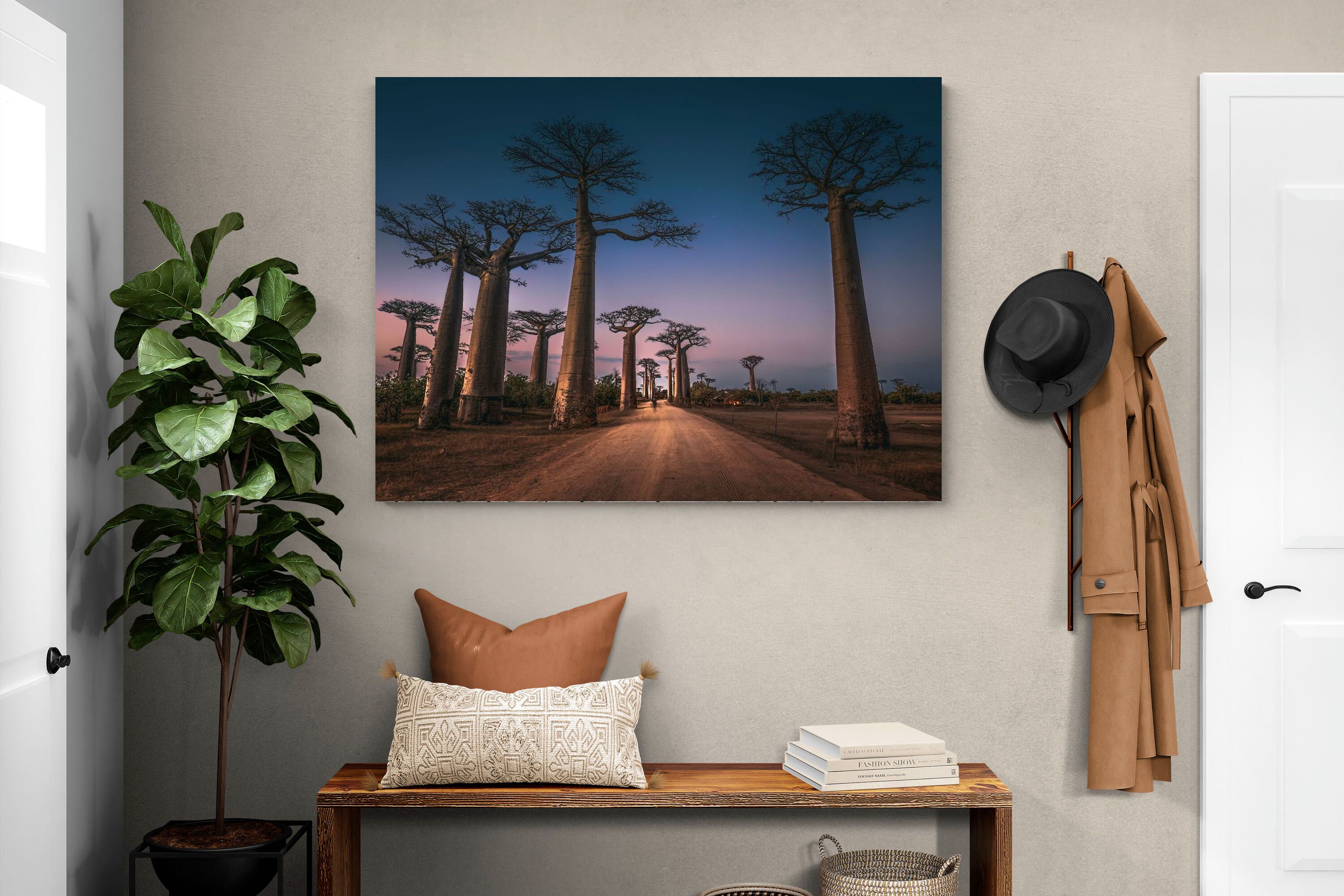 Pixalot Baobab Avenue