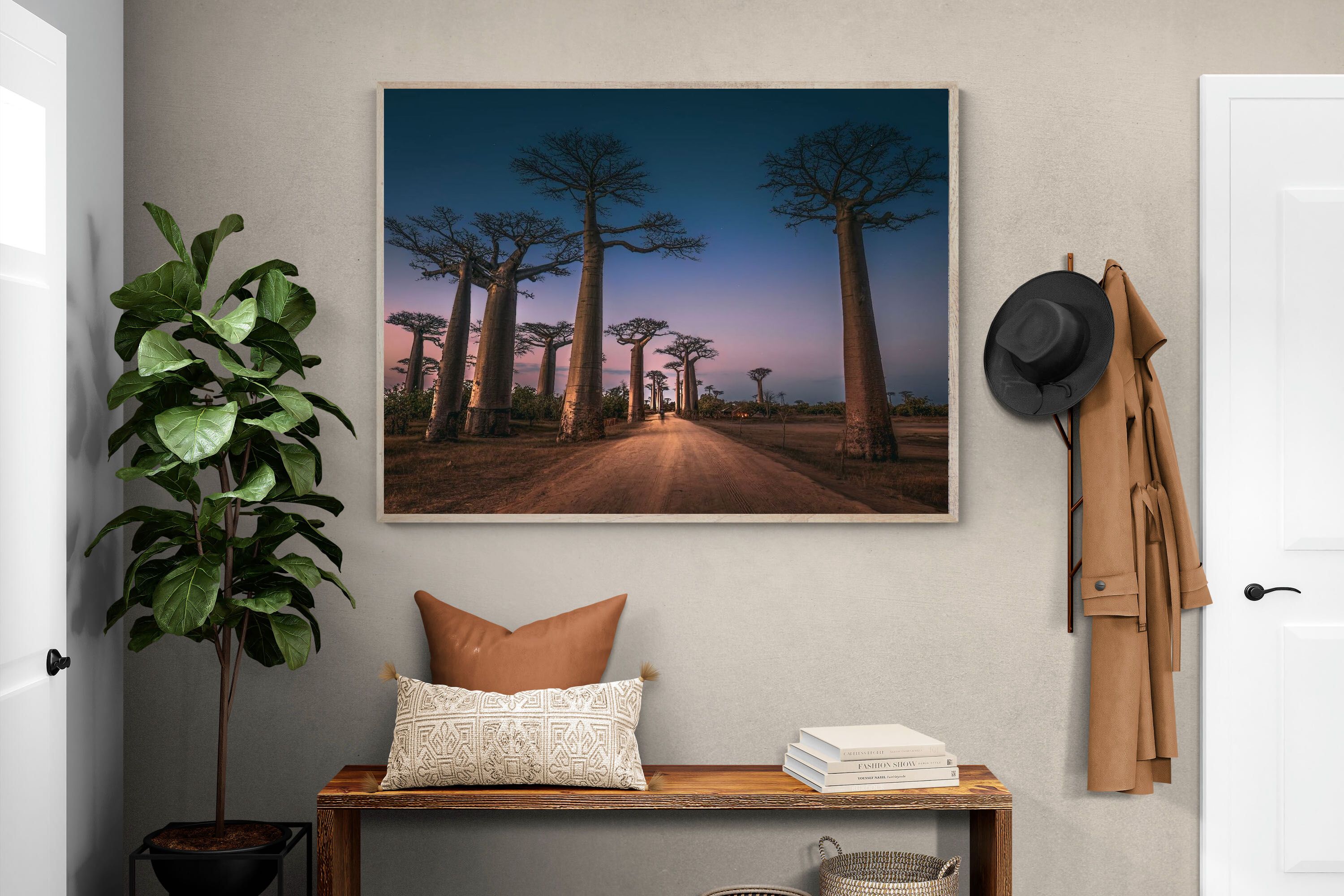 Pixalot Baobab Avenue