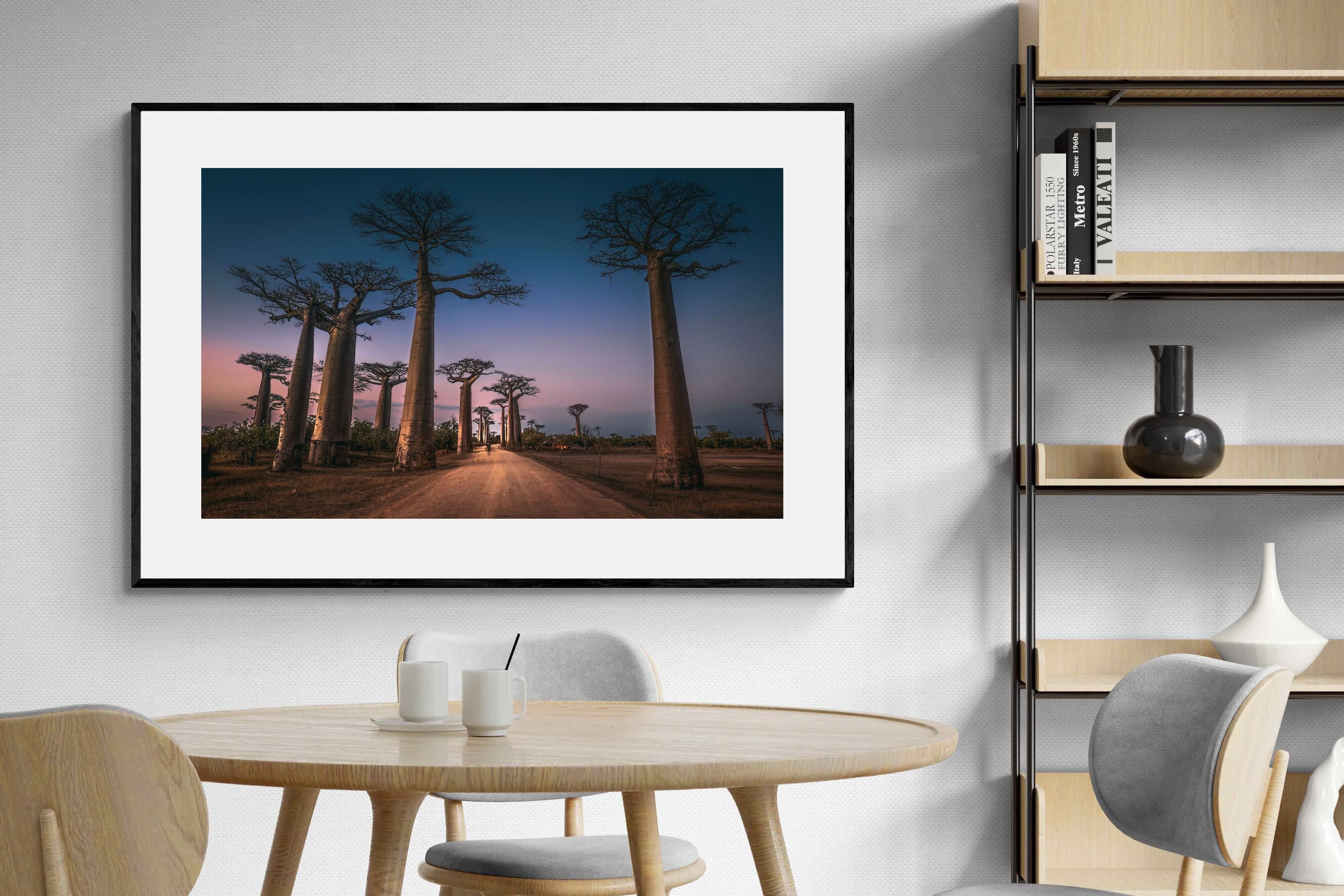 Pixalot Baobab Avenue