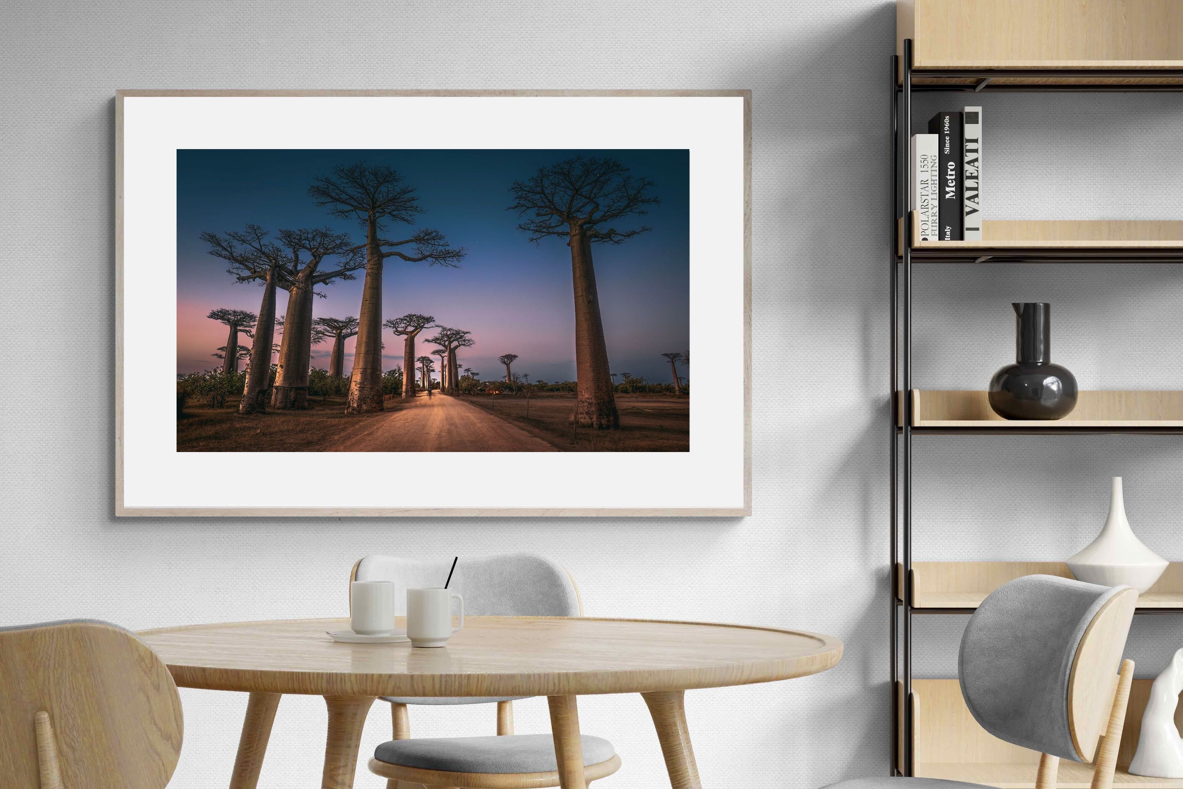 Pixalot Baobab Avenue