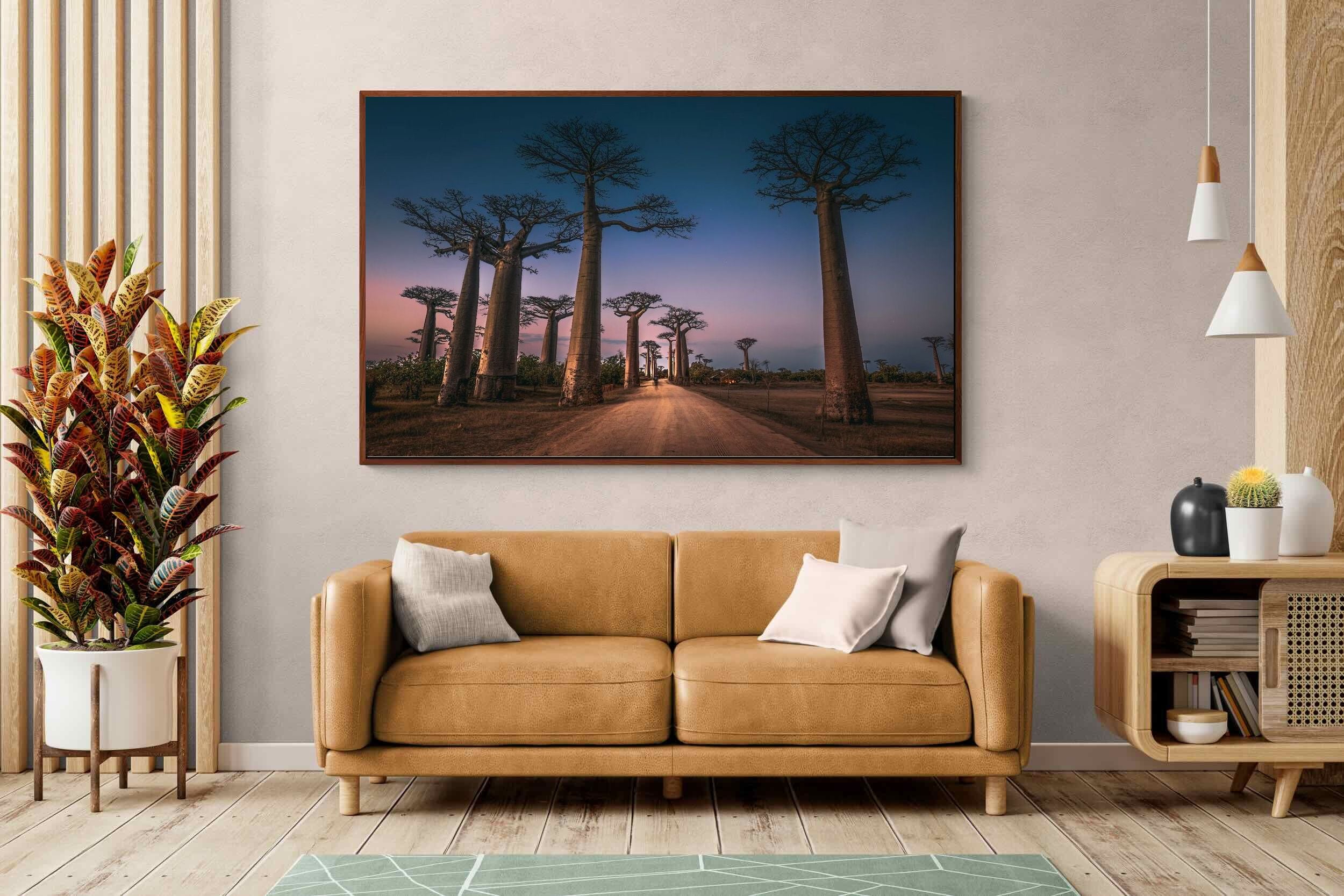 Pixalot Baobab Avenue