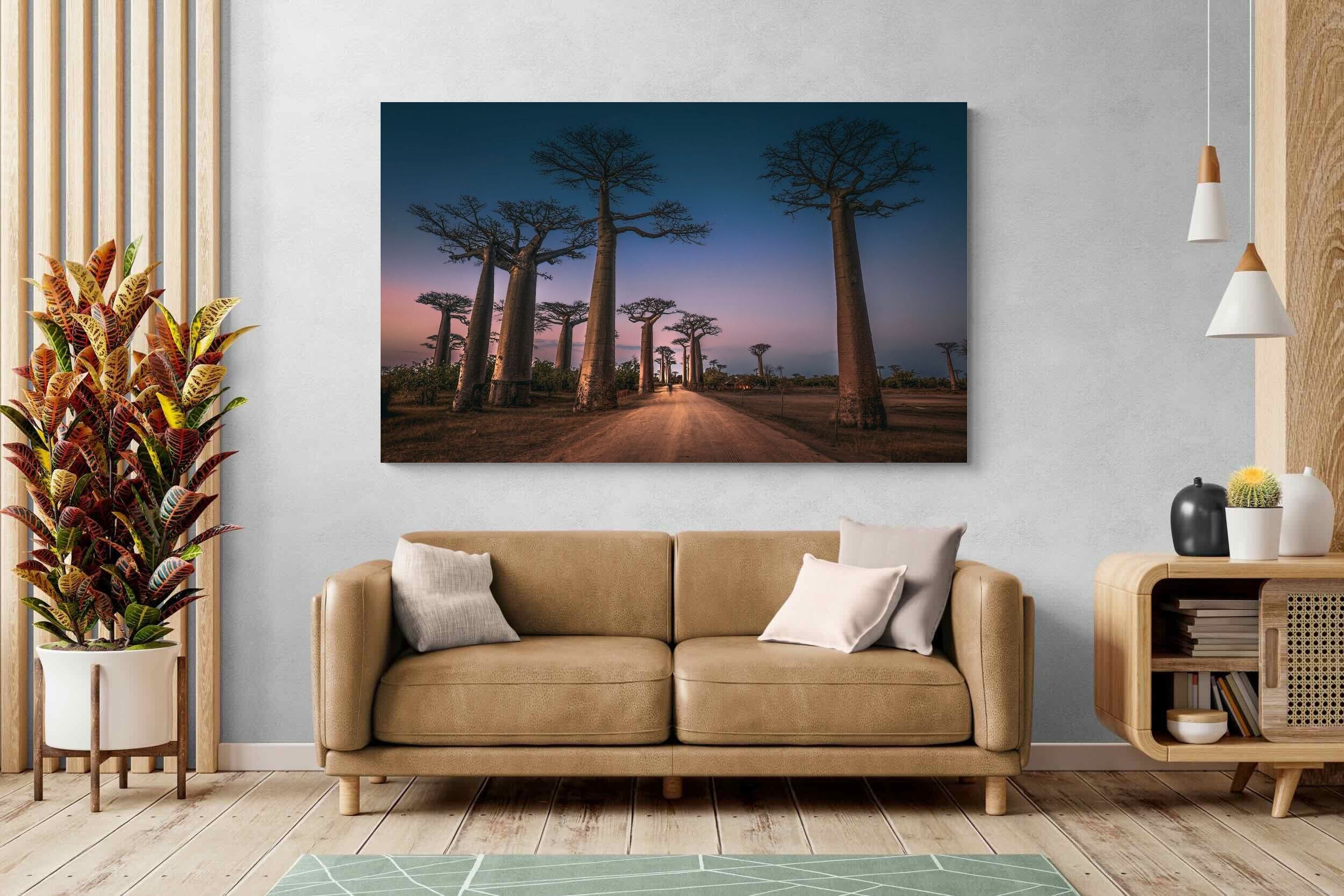 Pixalot Baobab Avenue