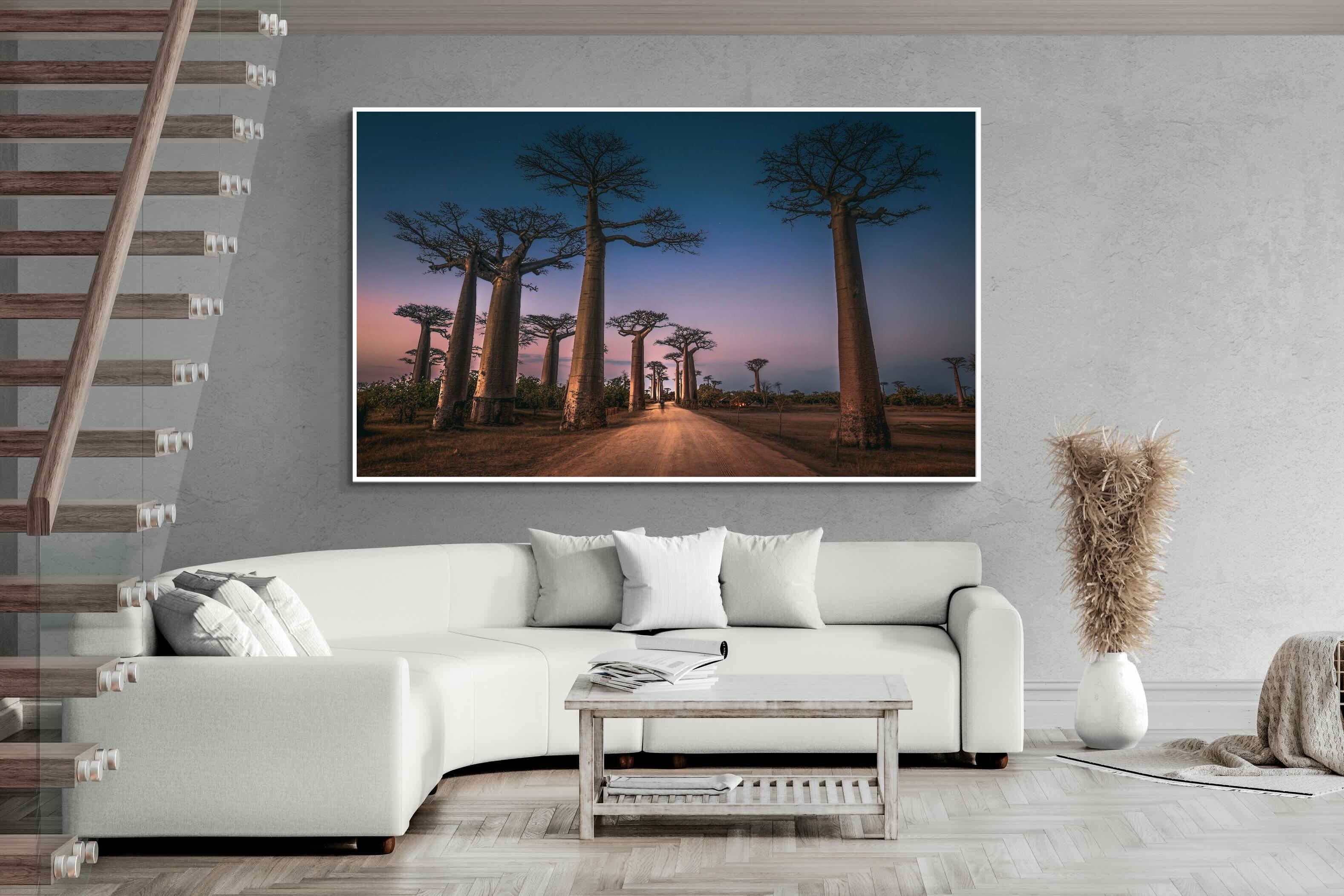 Pixalot Baobab Avenue
