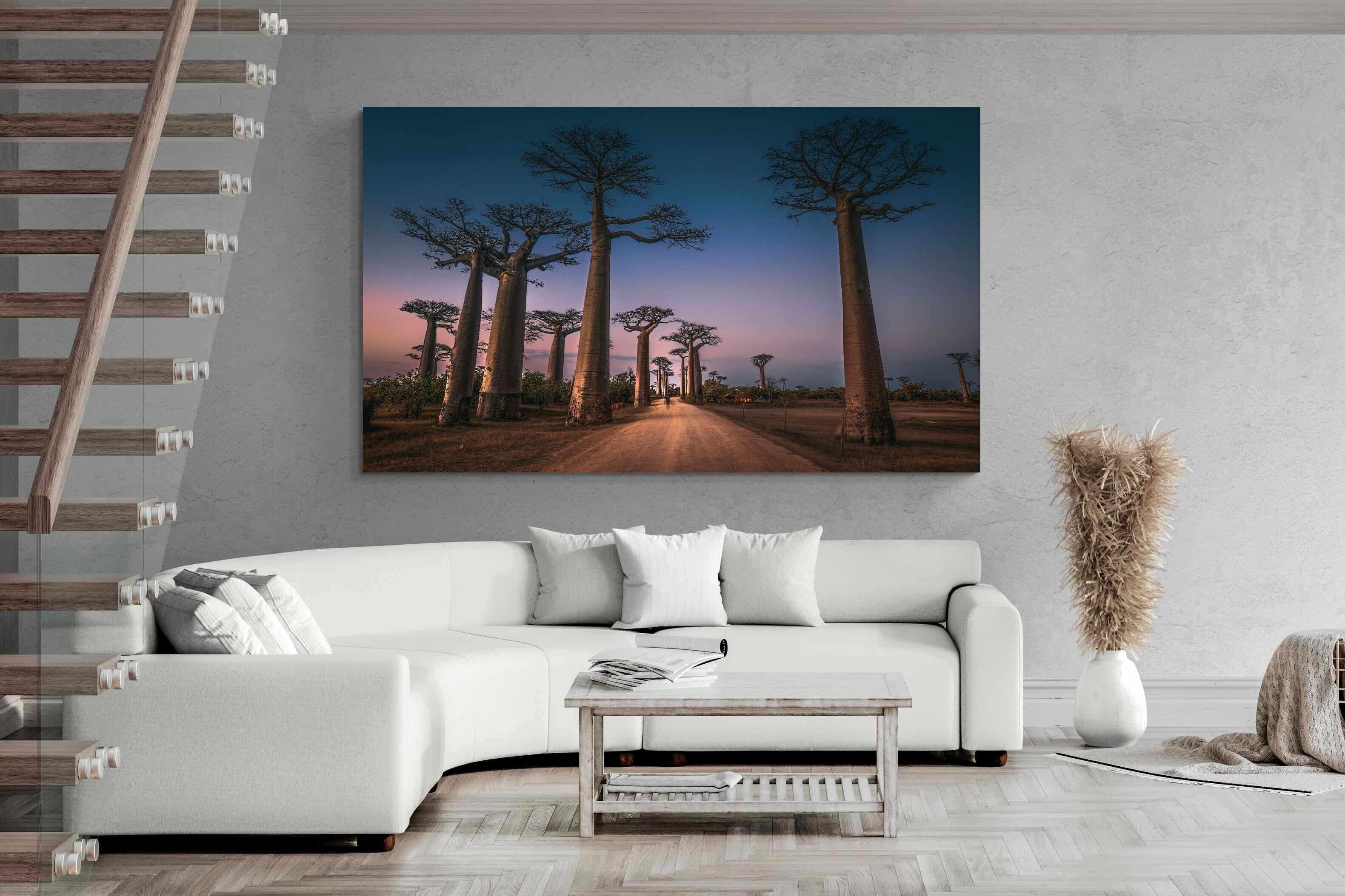 Pixalot Baobab Avenue