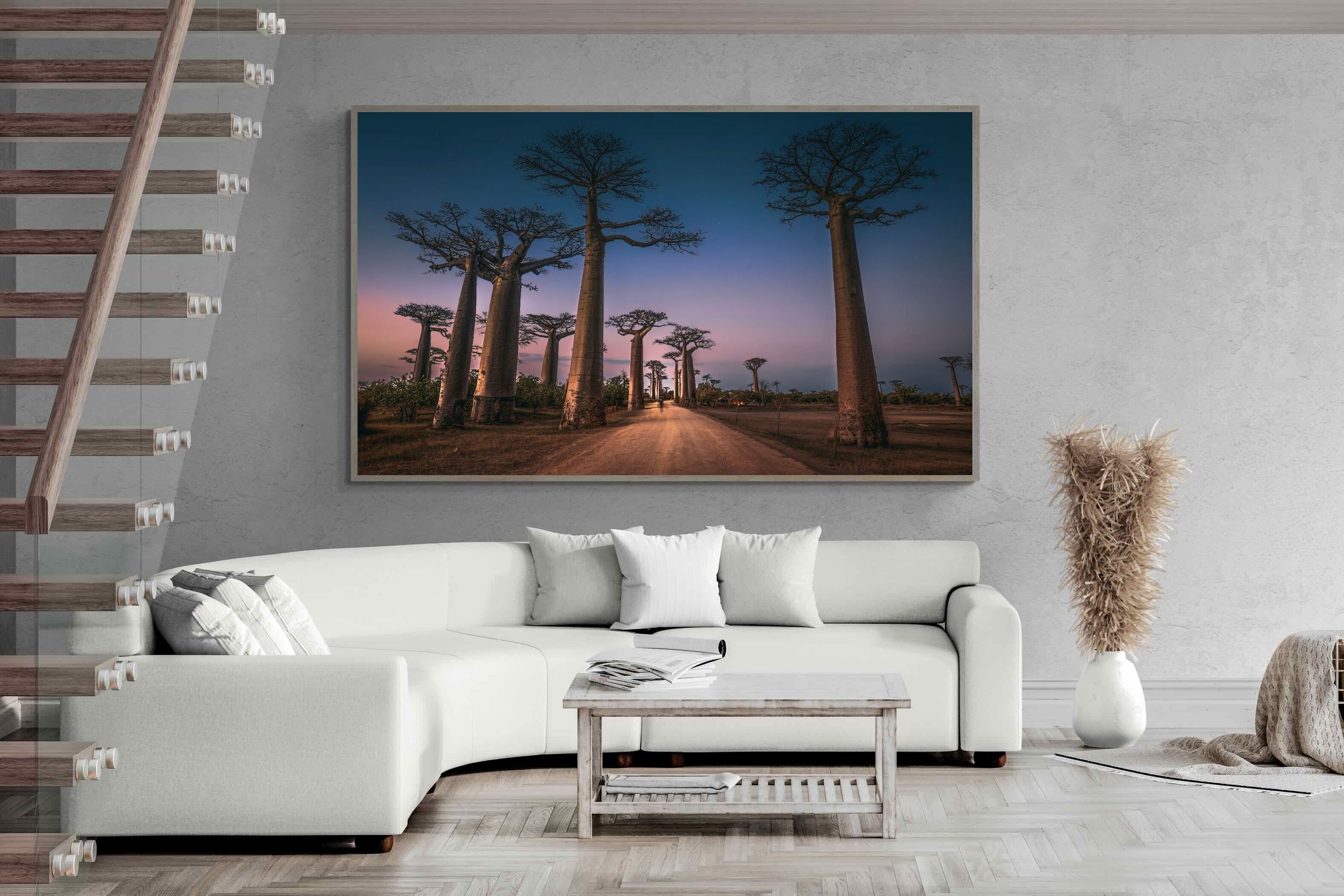 Pixalot Baobab Avenue