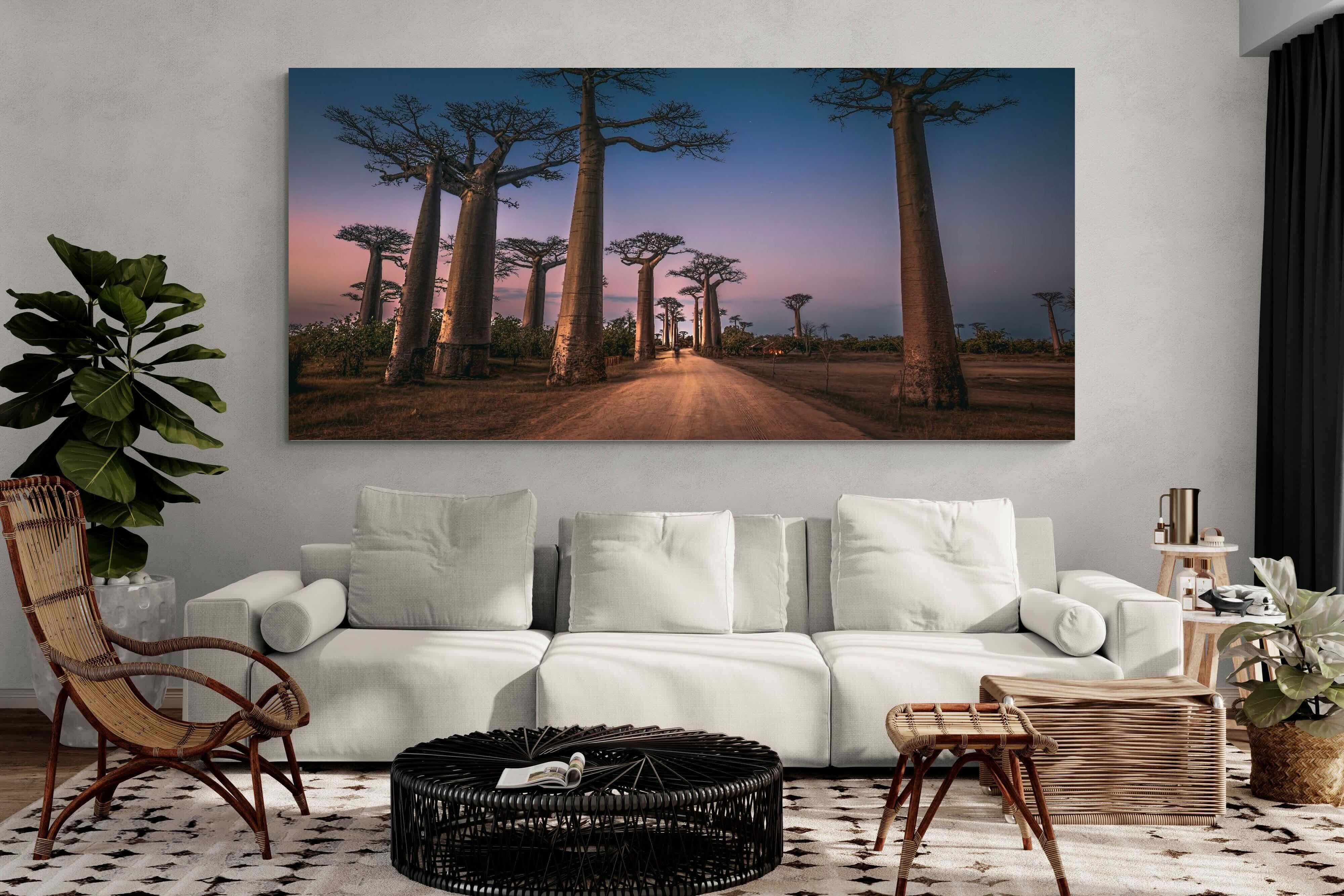 Pixalot Baobab Avenue