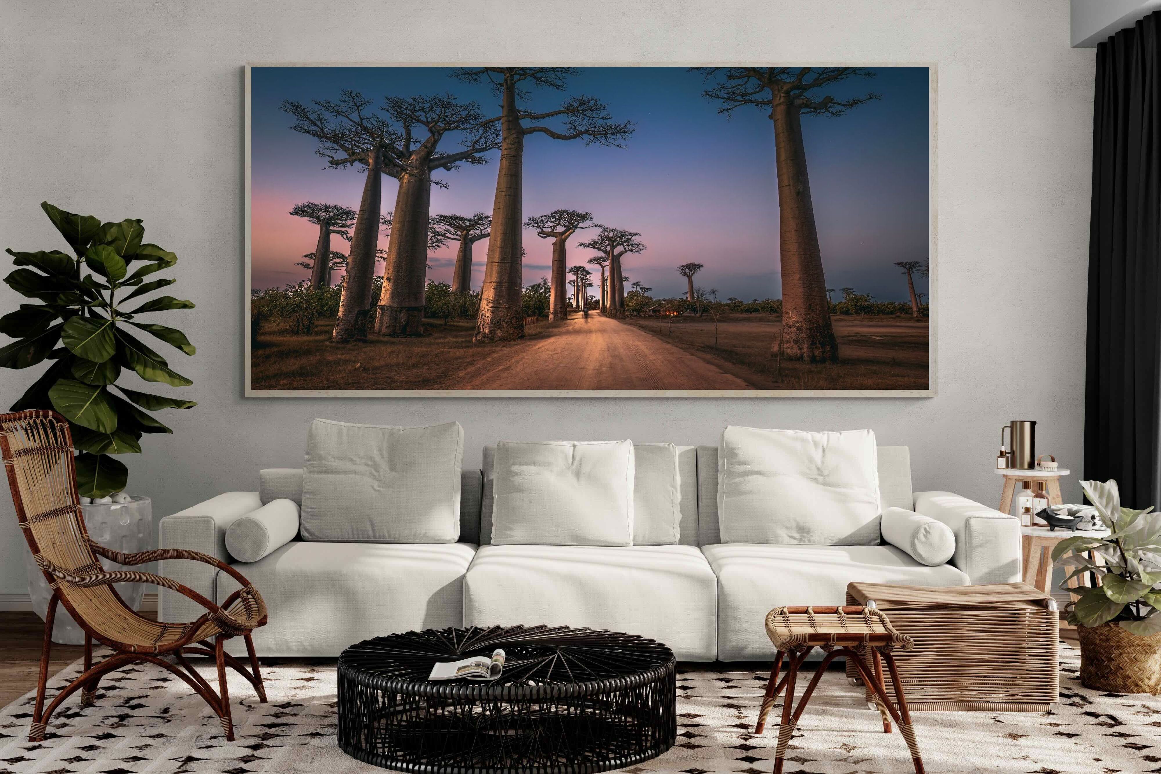 Pixalot Baobab Avenue