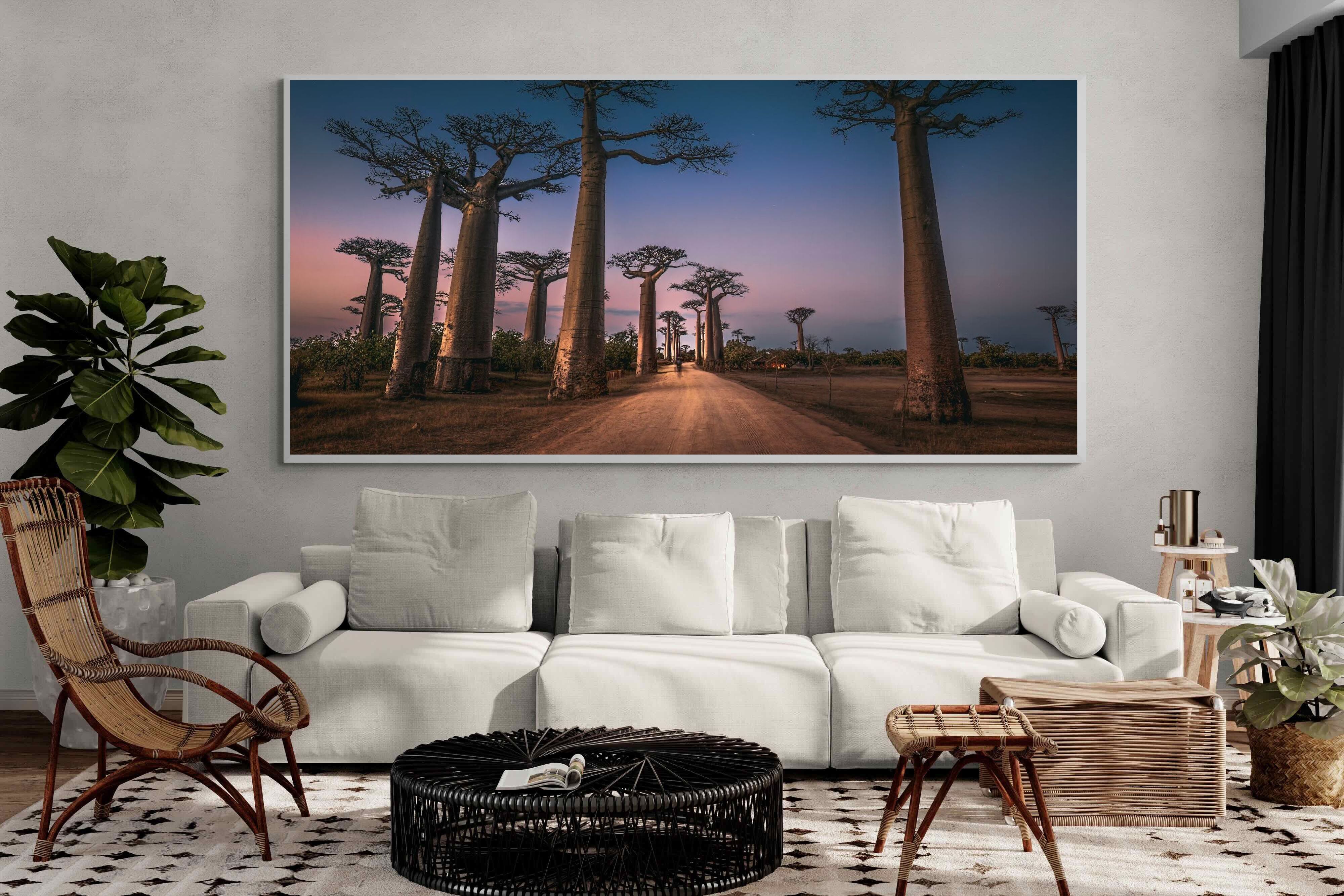 Pixalot Baobab Avenue