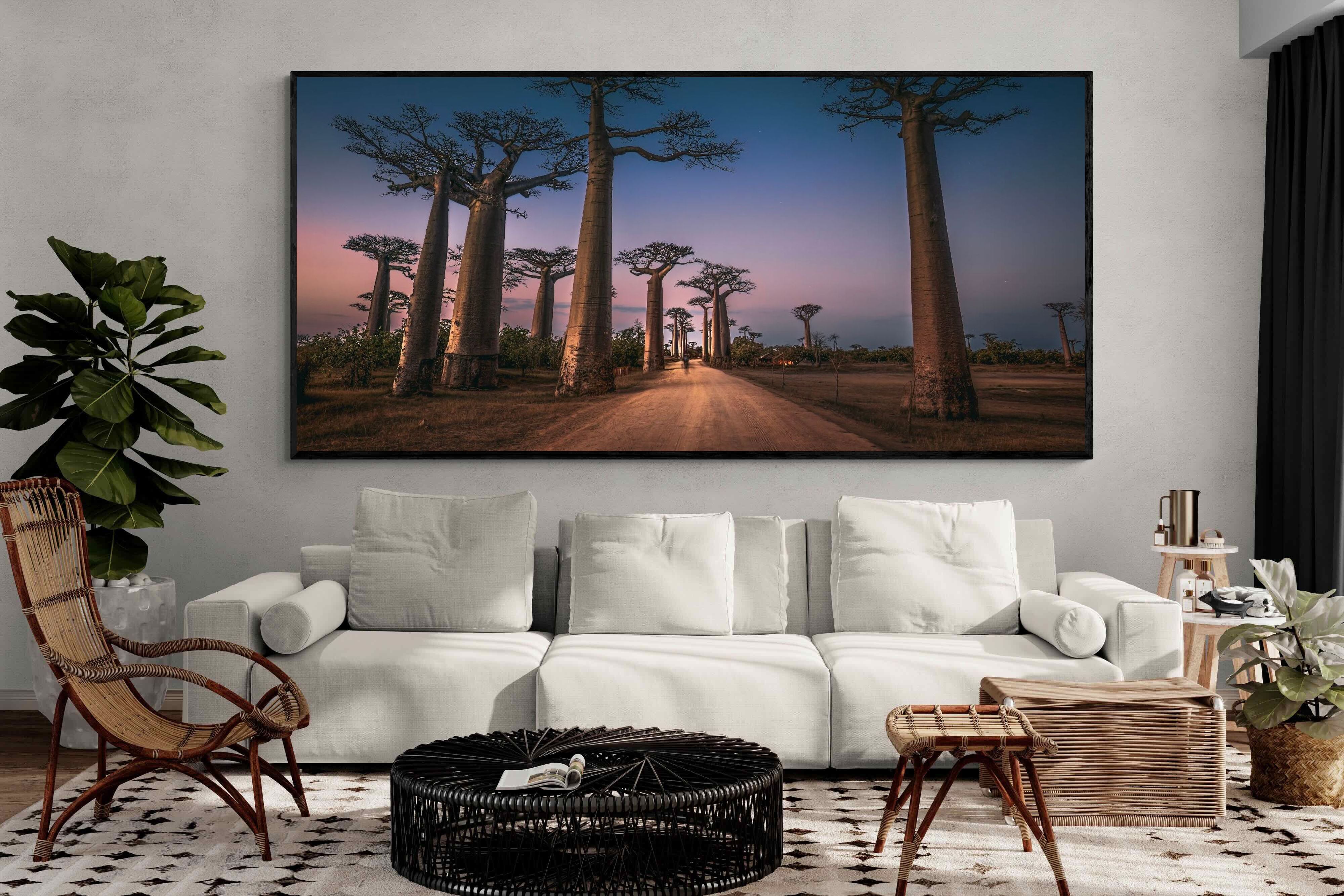 Pixalot Baobab Avenue
