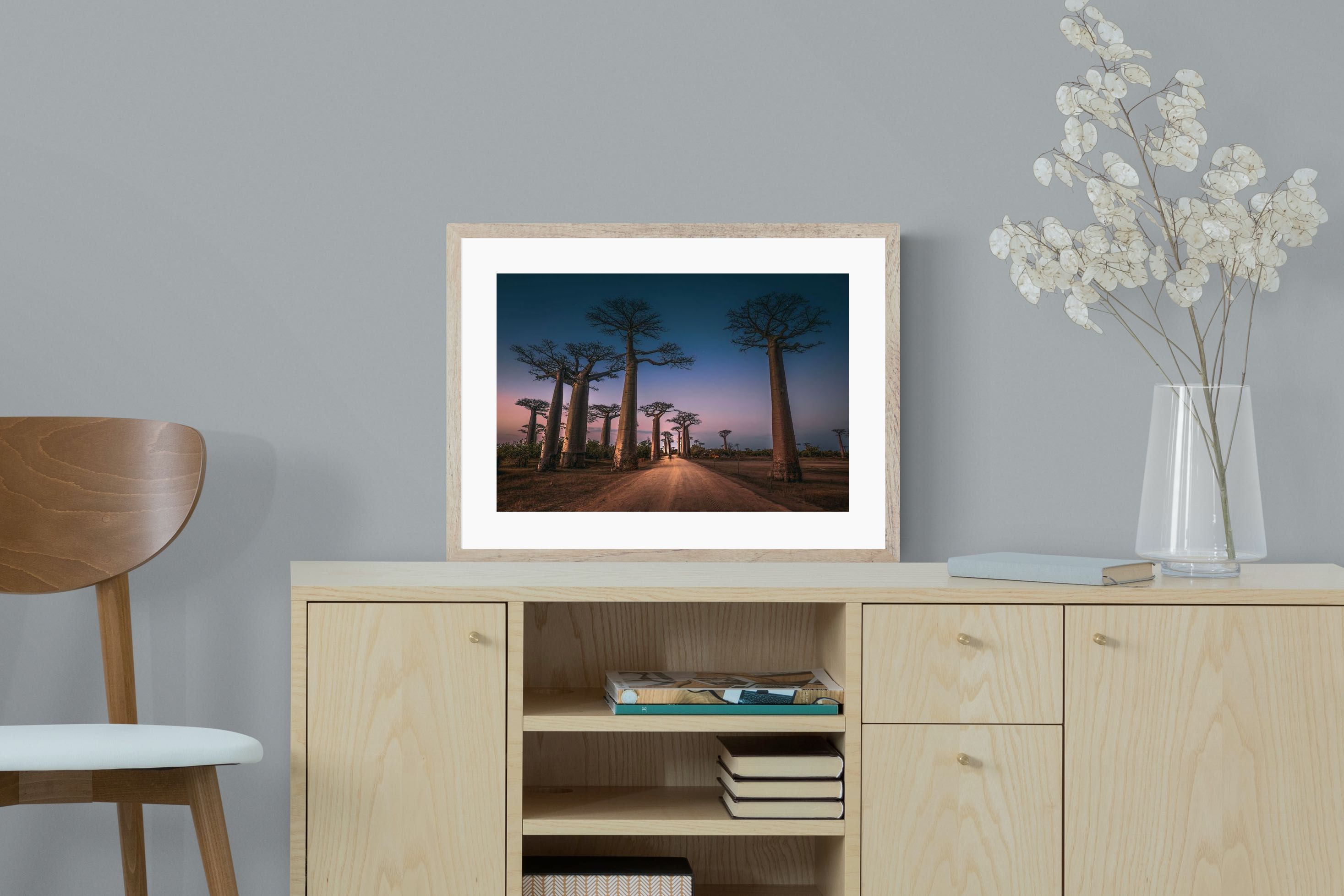 Pixalot Baobab Avenue