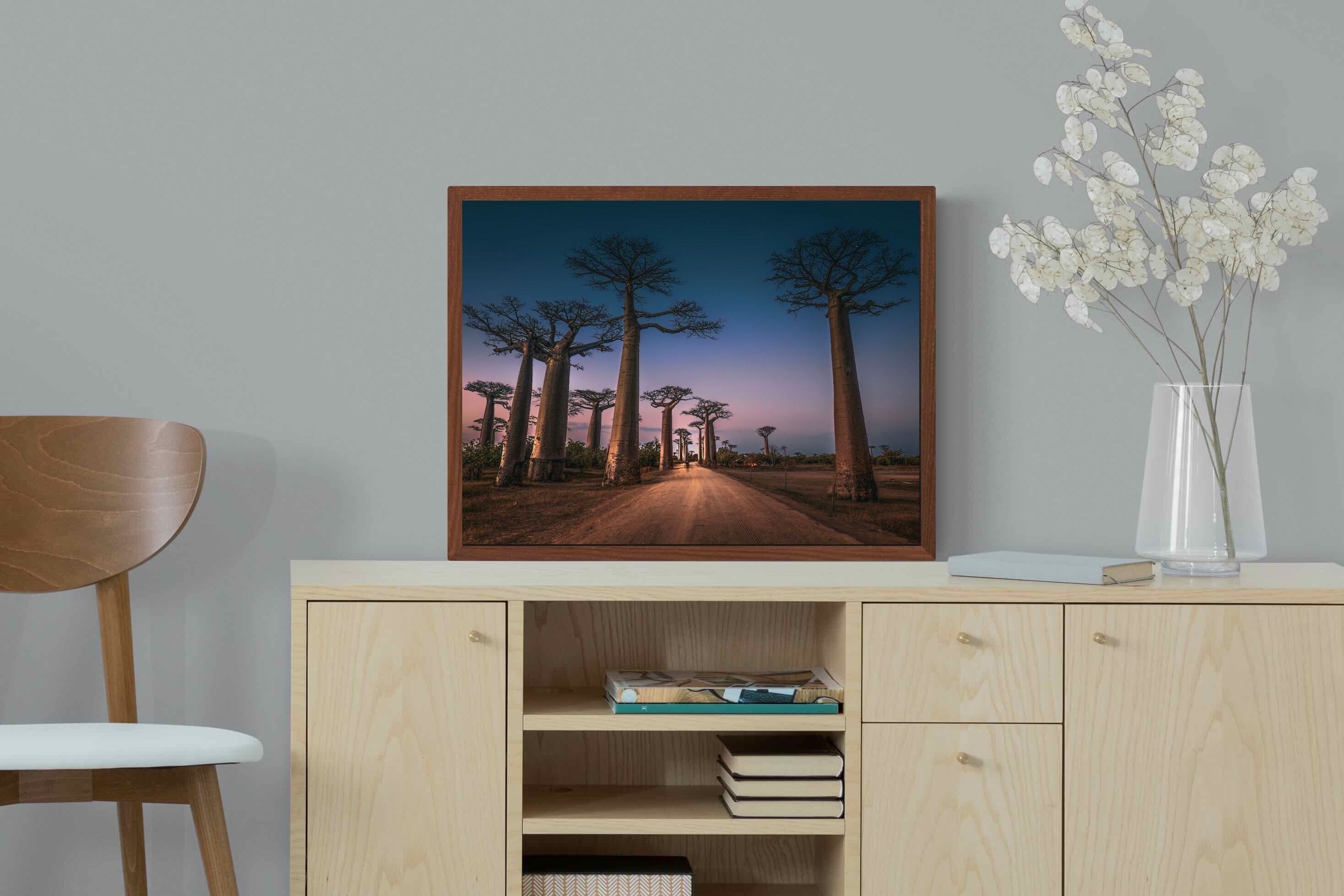 Pixalot Baobab Avenue