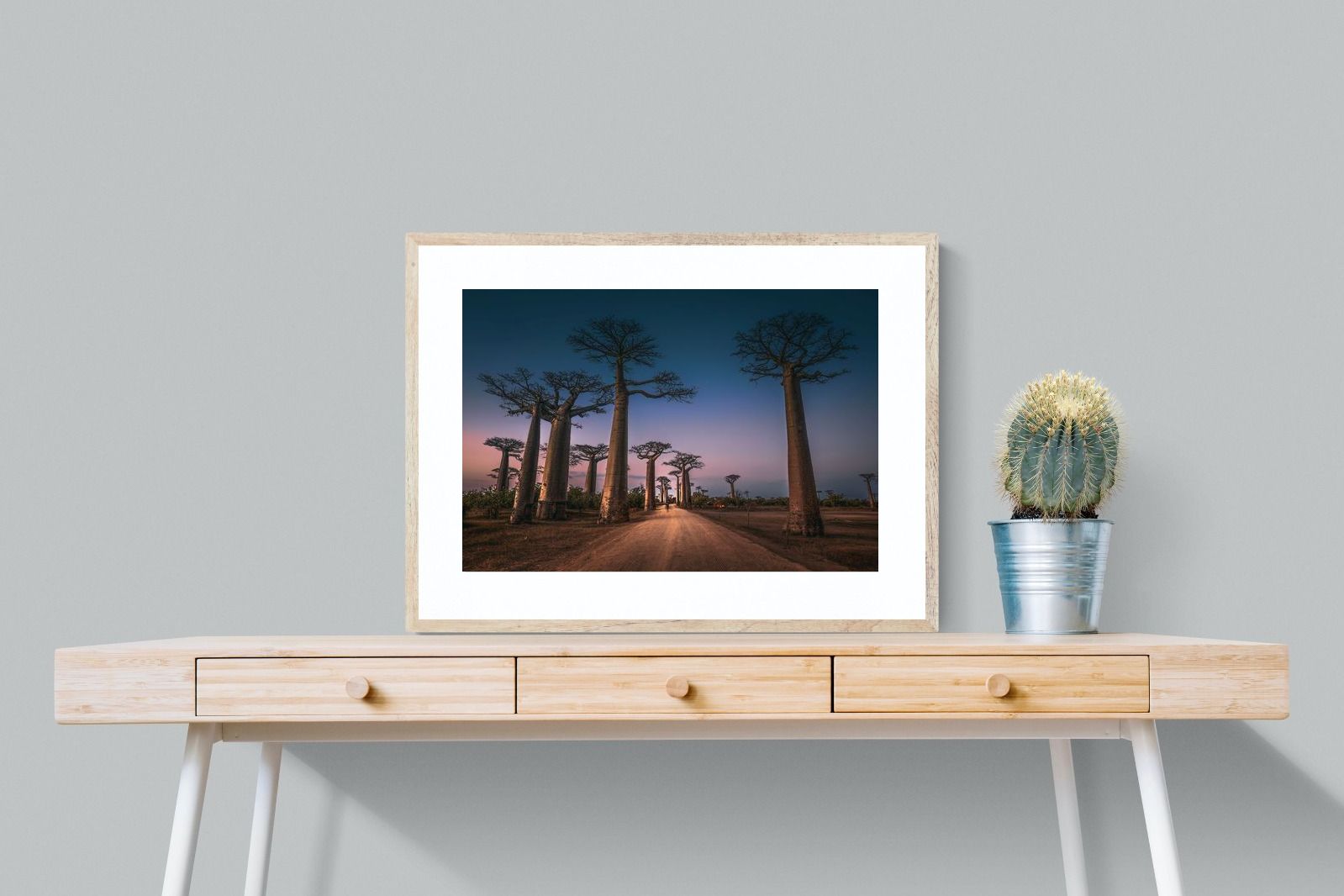 Pixalot Baobab Avenue