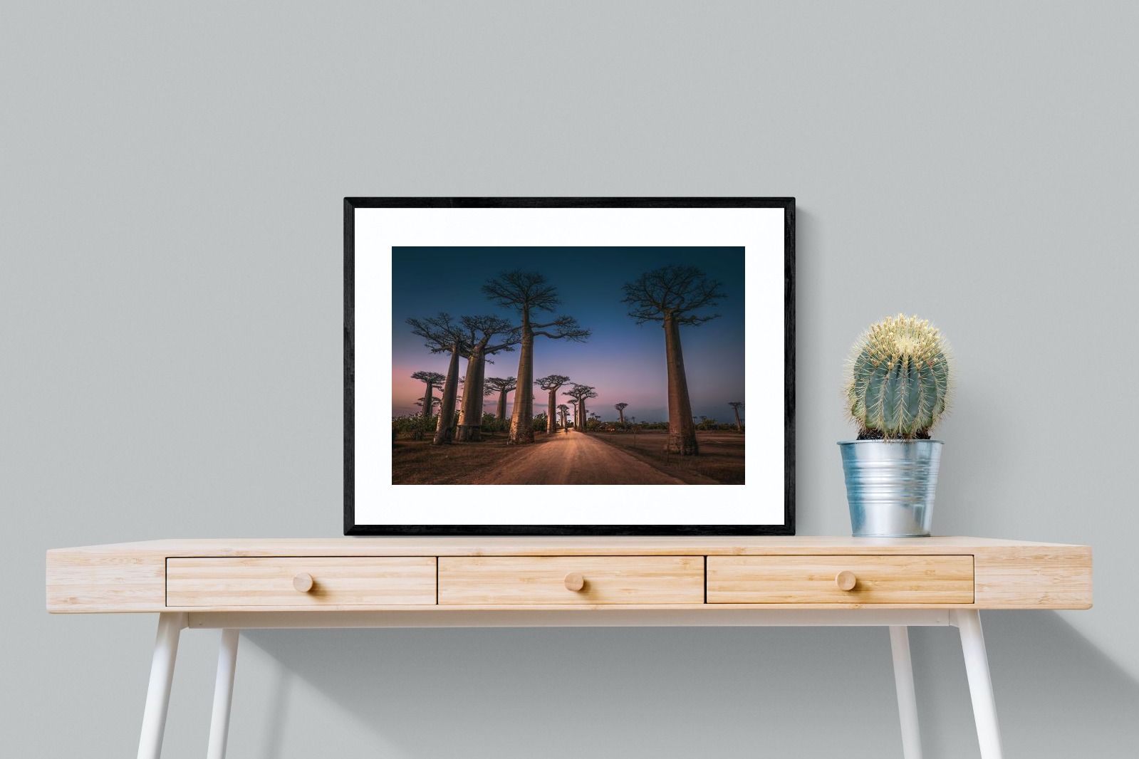 Pixalot Baobab Avenue