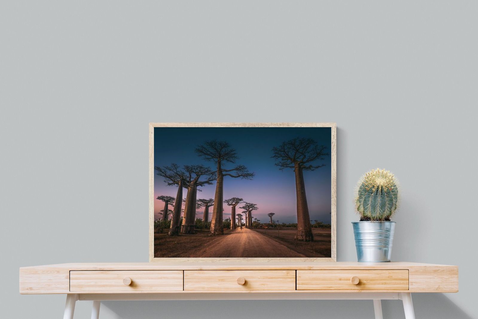 Pixalot Baobab Avenue