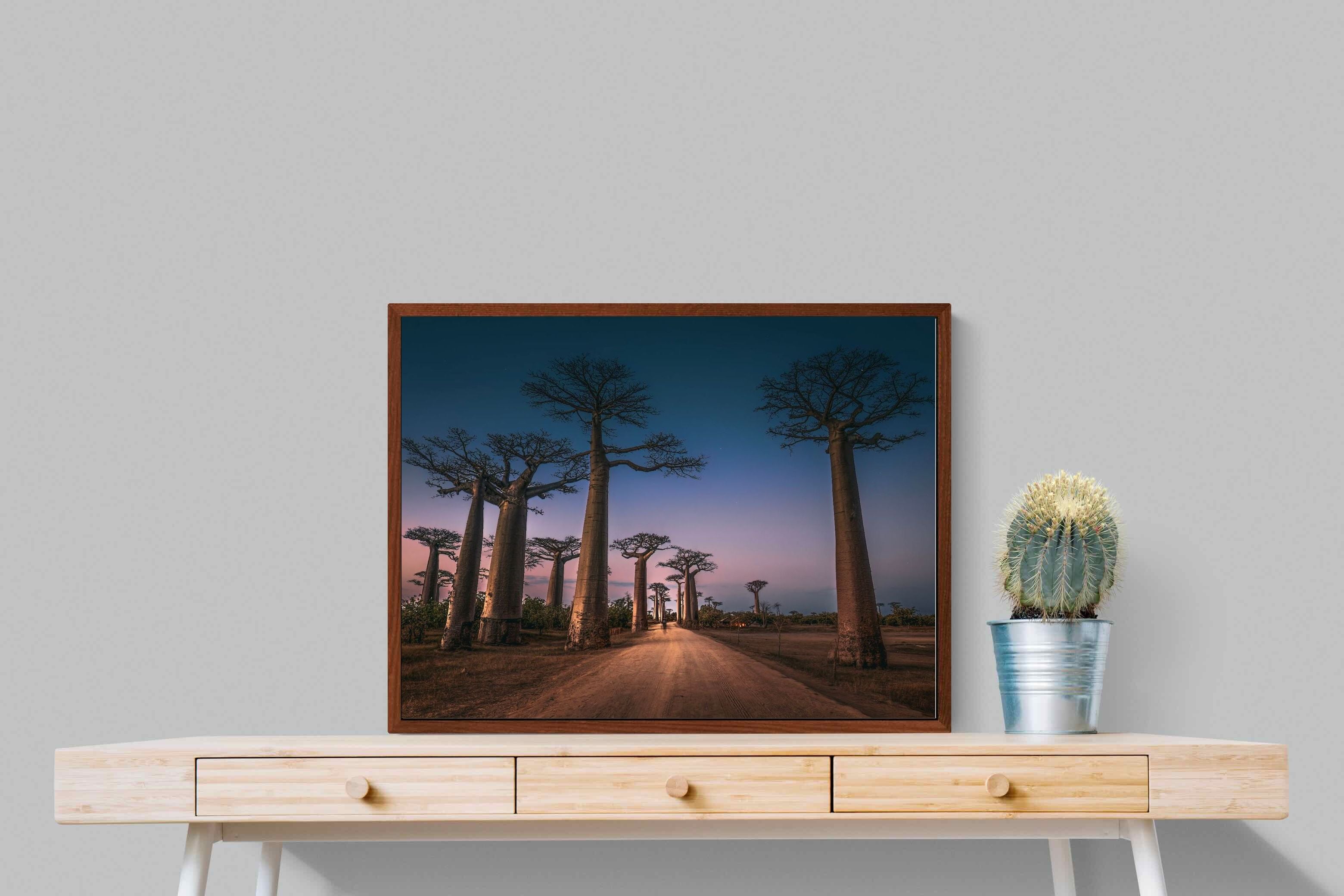 Pixalot Baobab Avenue