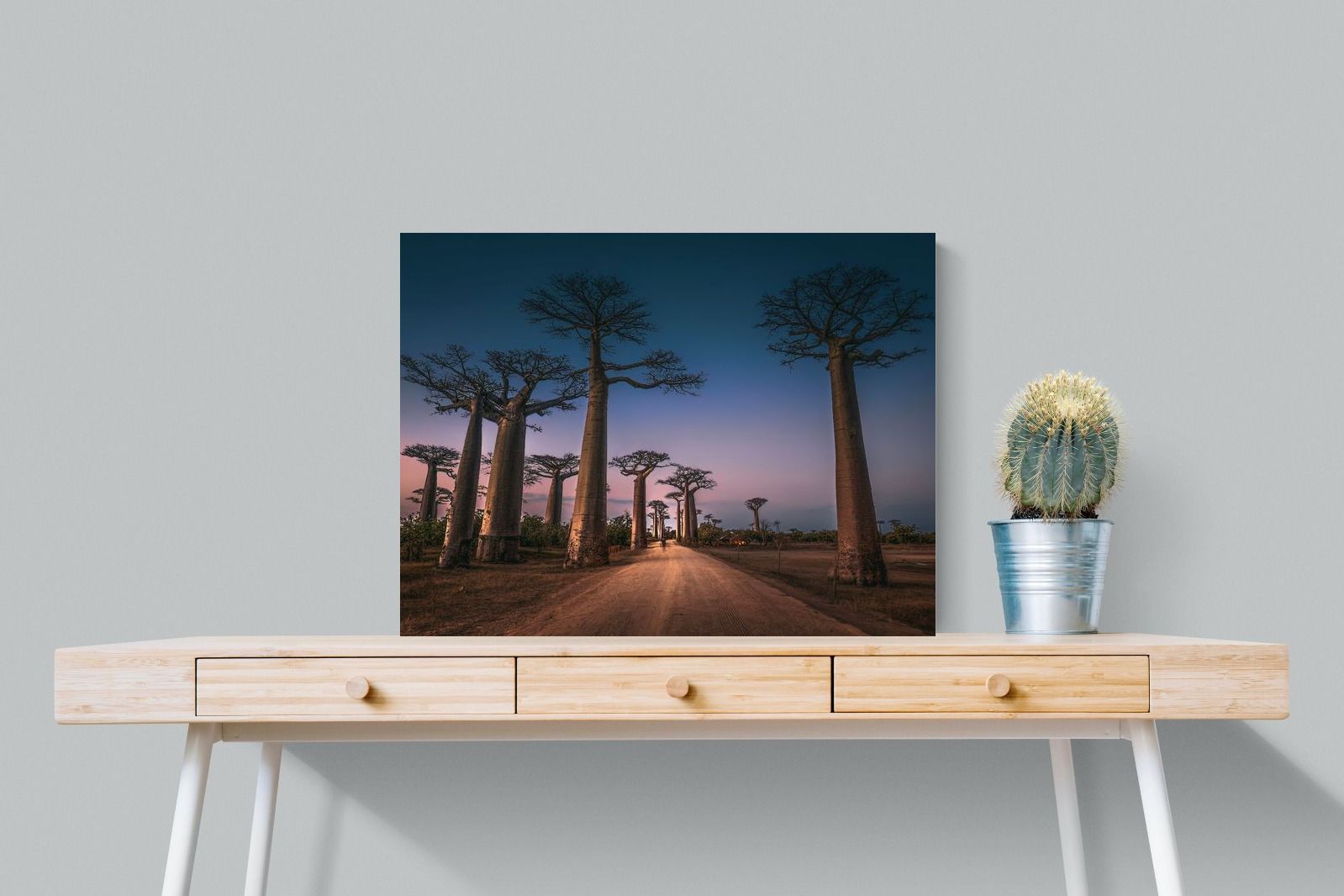 Pixalot Baobab Avenue