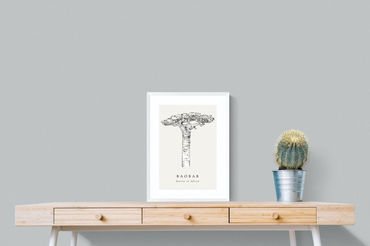 Pixalot ® Baobab Illustration