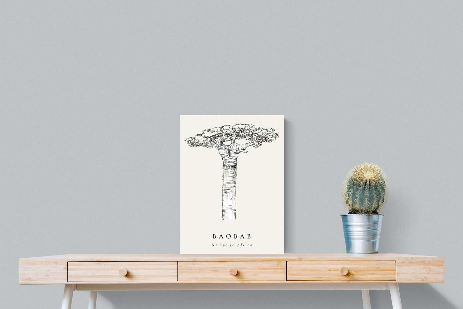 Pixalot ® Baobab Illustration